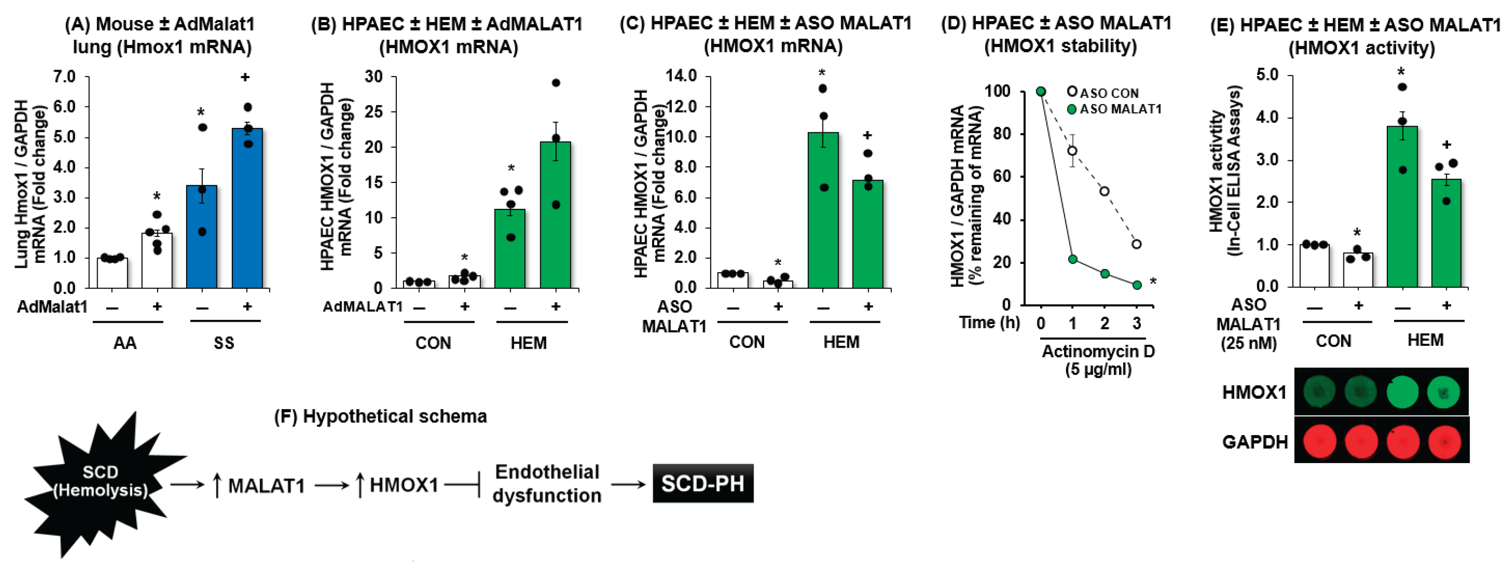 Preprints 179735 g005