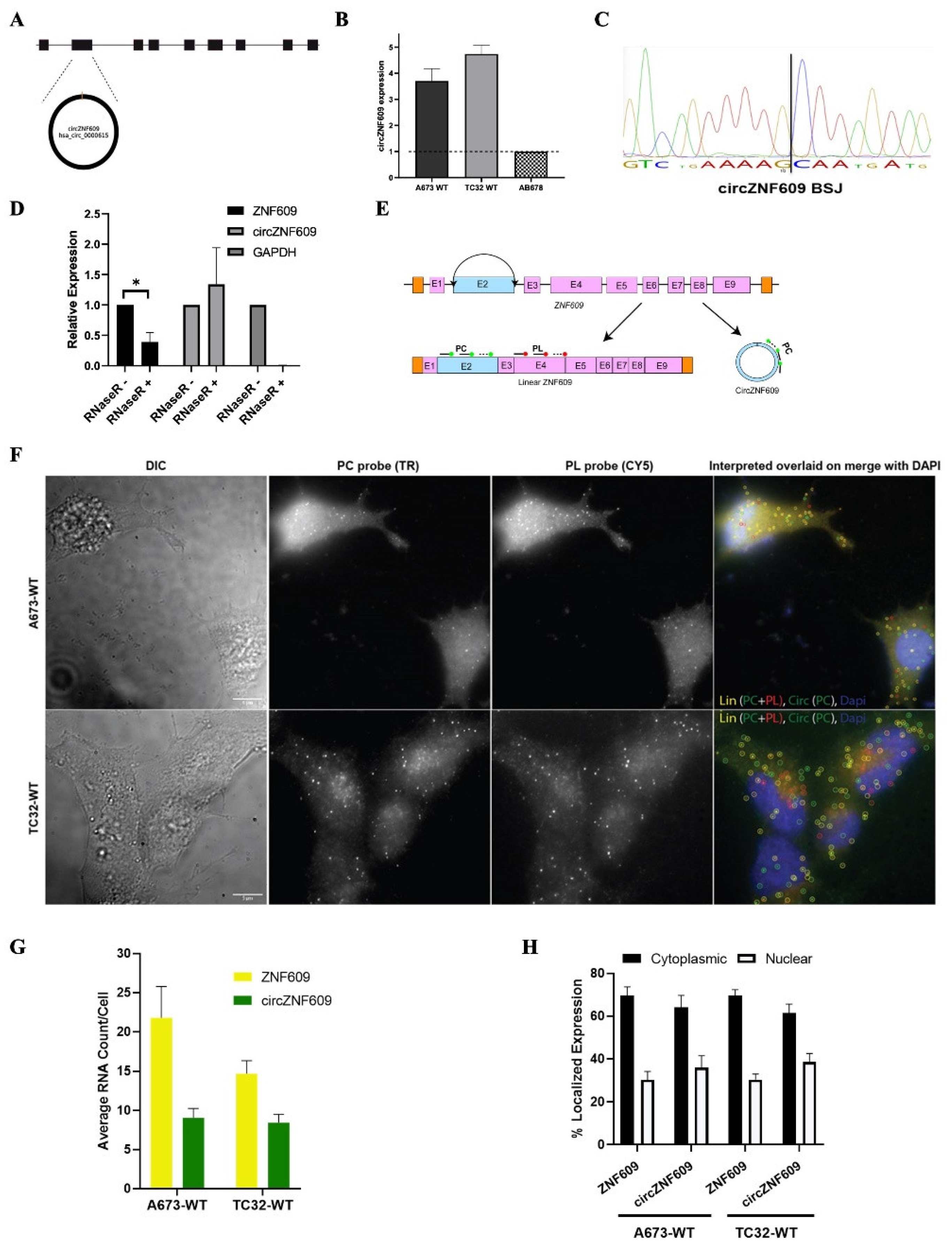 Preprints 187121 g001