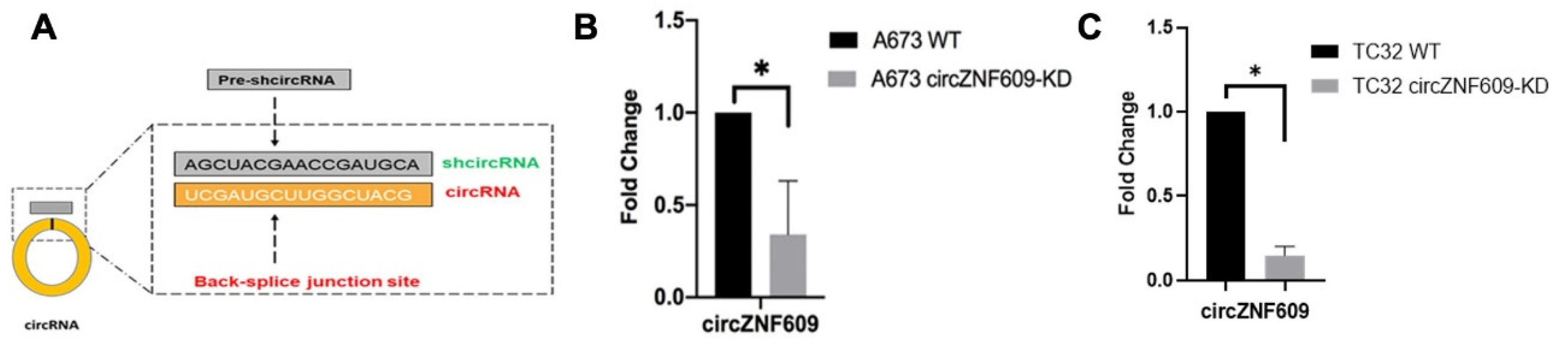 Preprints 187121 g002