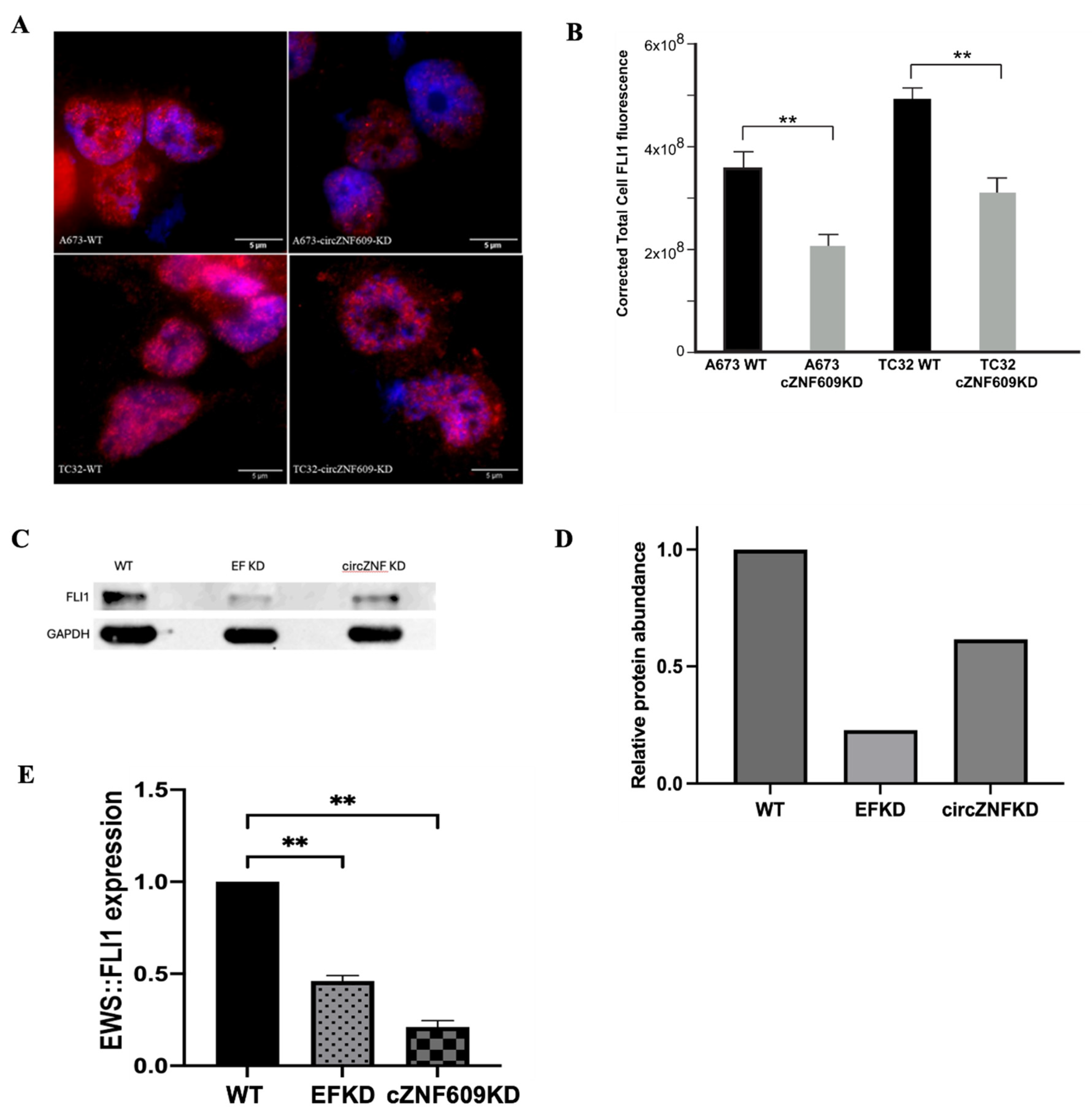Preprints 187121 g004
