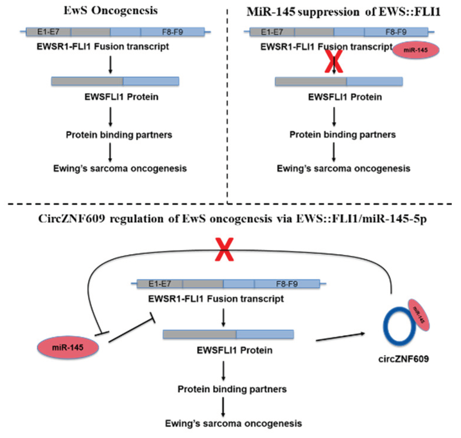 Preprints 187121 g008