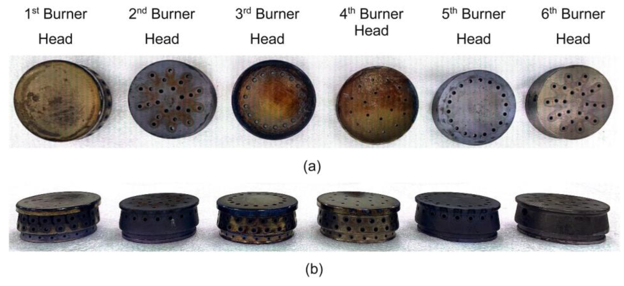Preprints 192879 g013