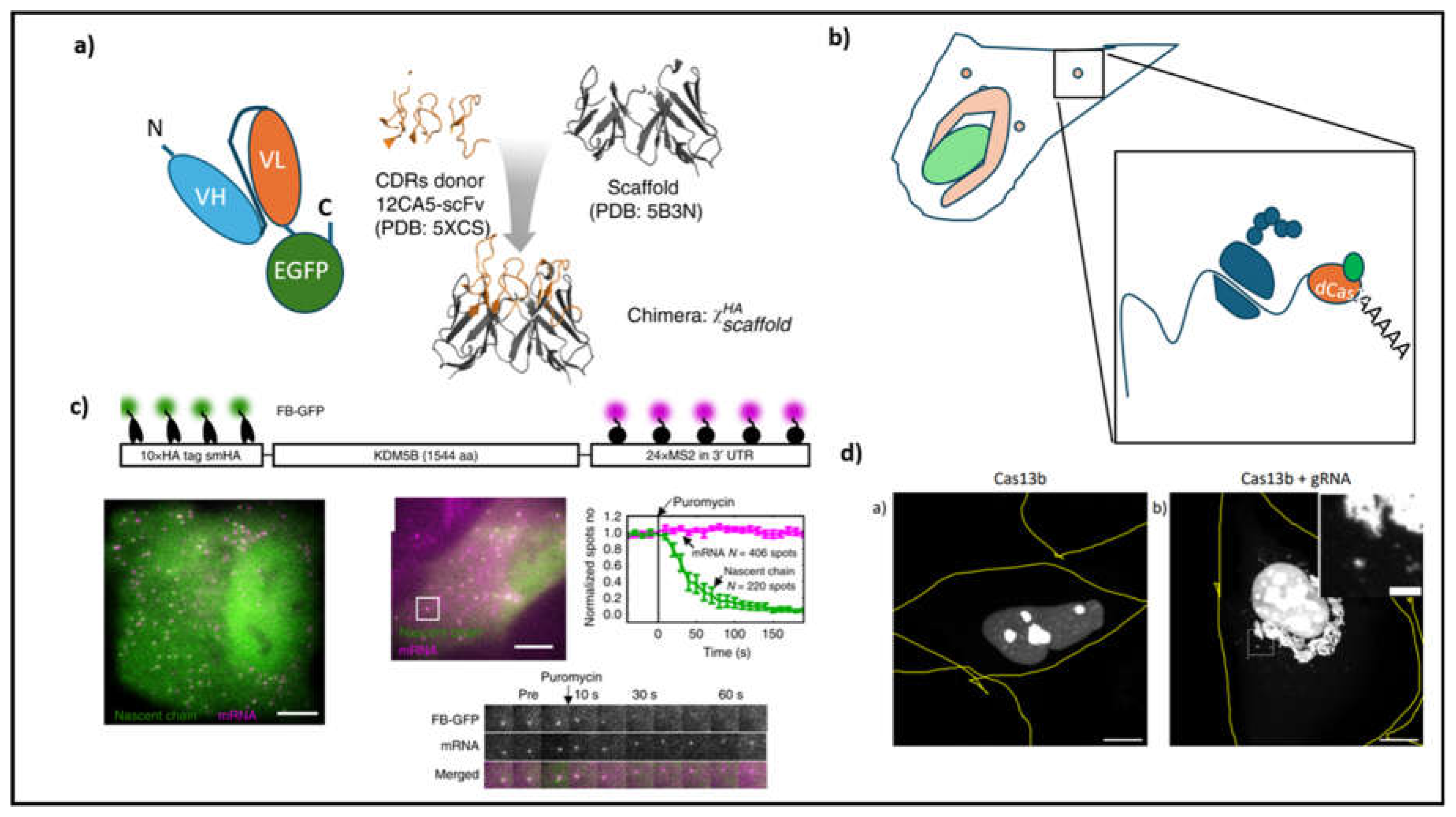 Preprints 149303 g002