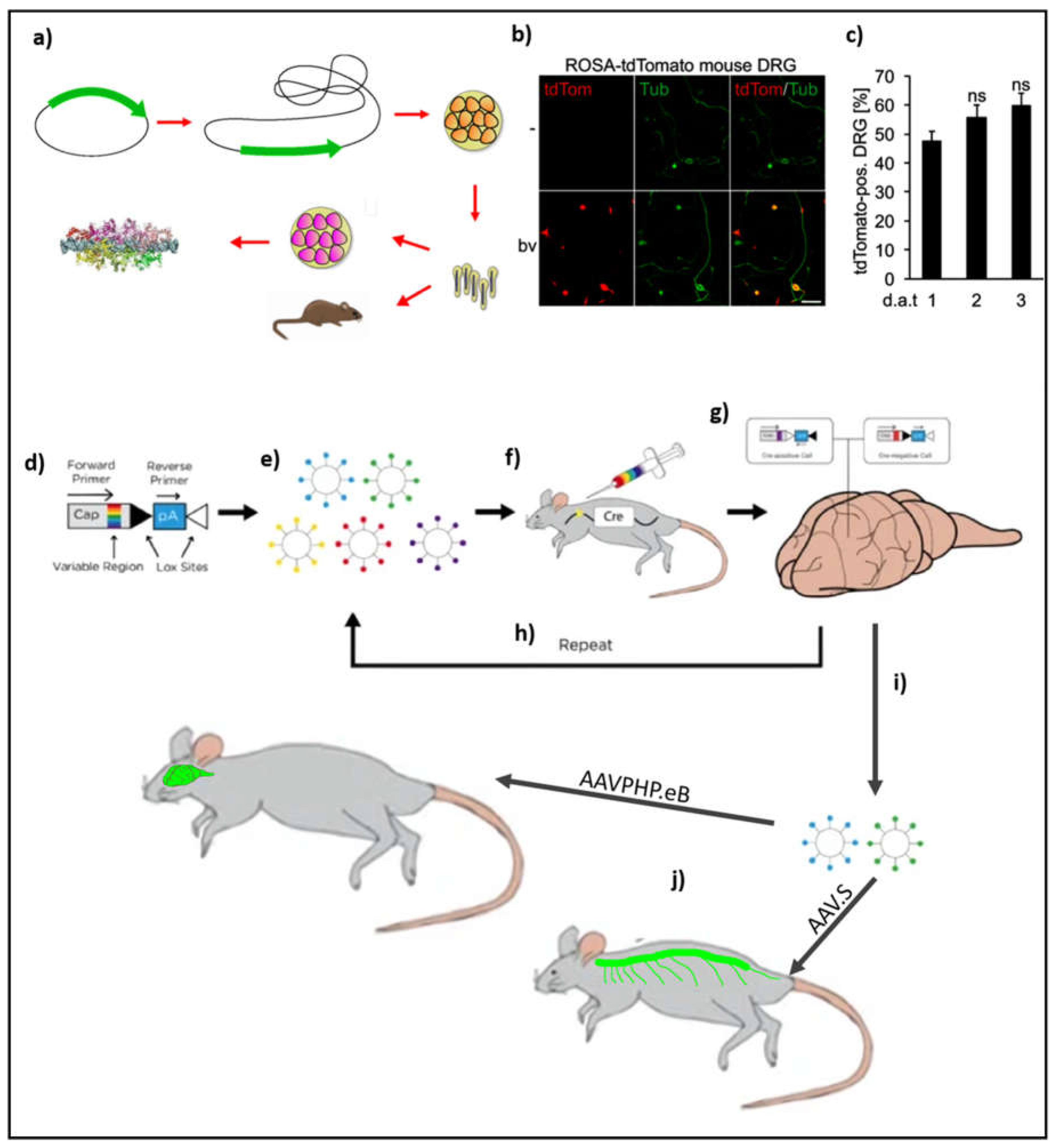 Preprints 149303 g003
