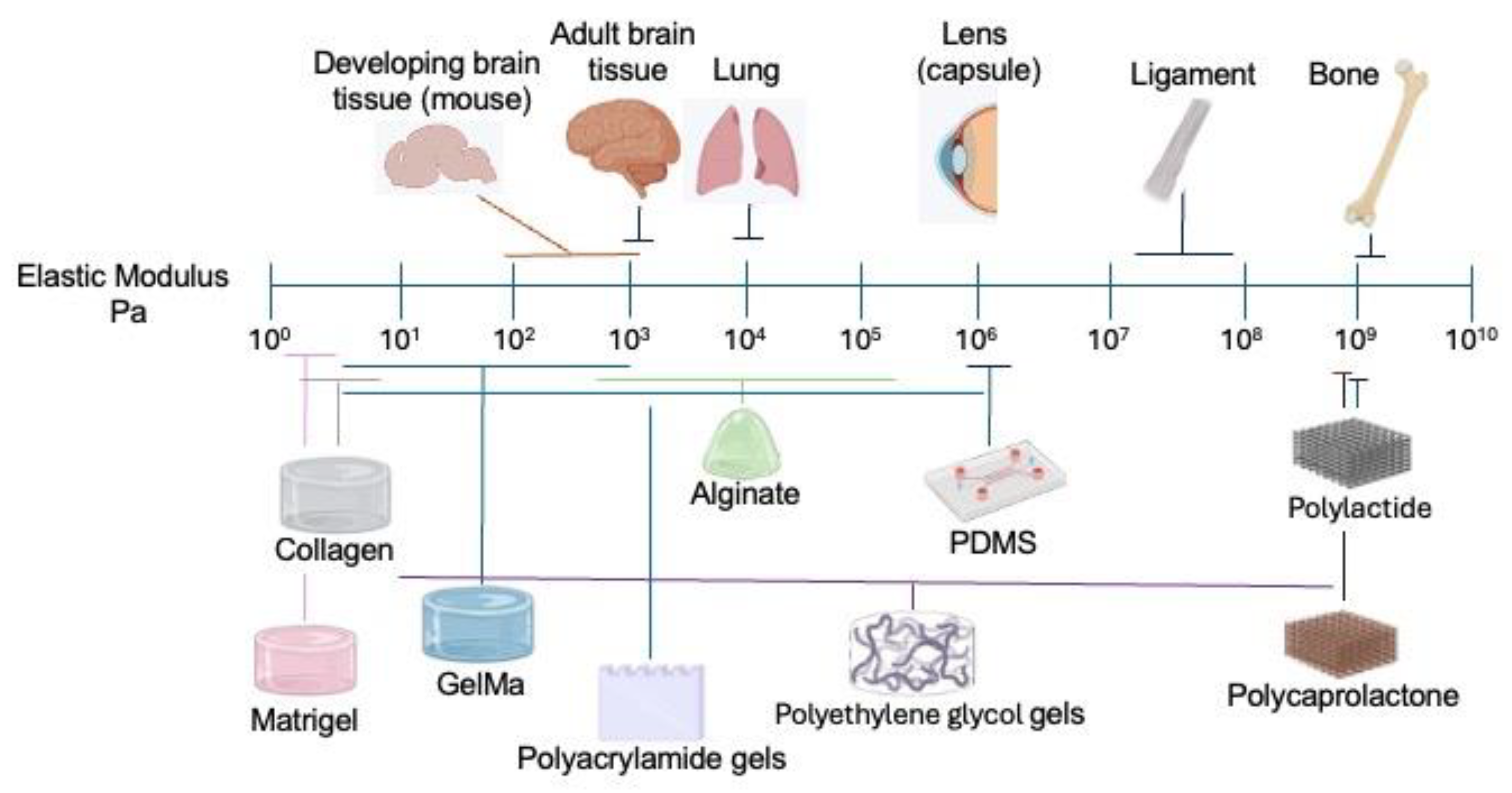 Preprints 189507 g001