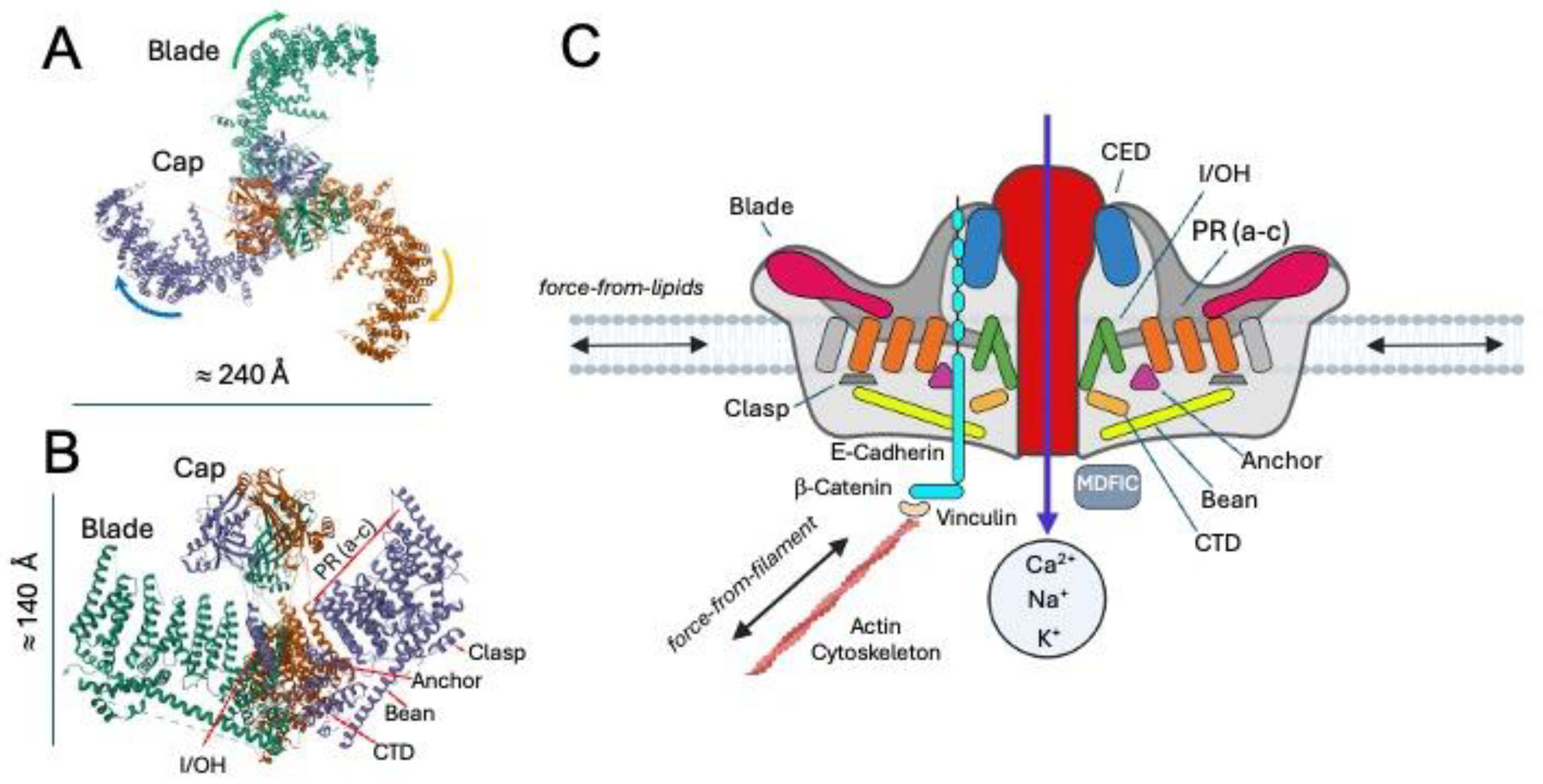 Preprints 189507 g002