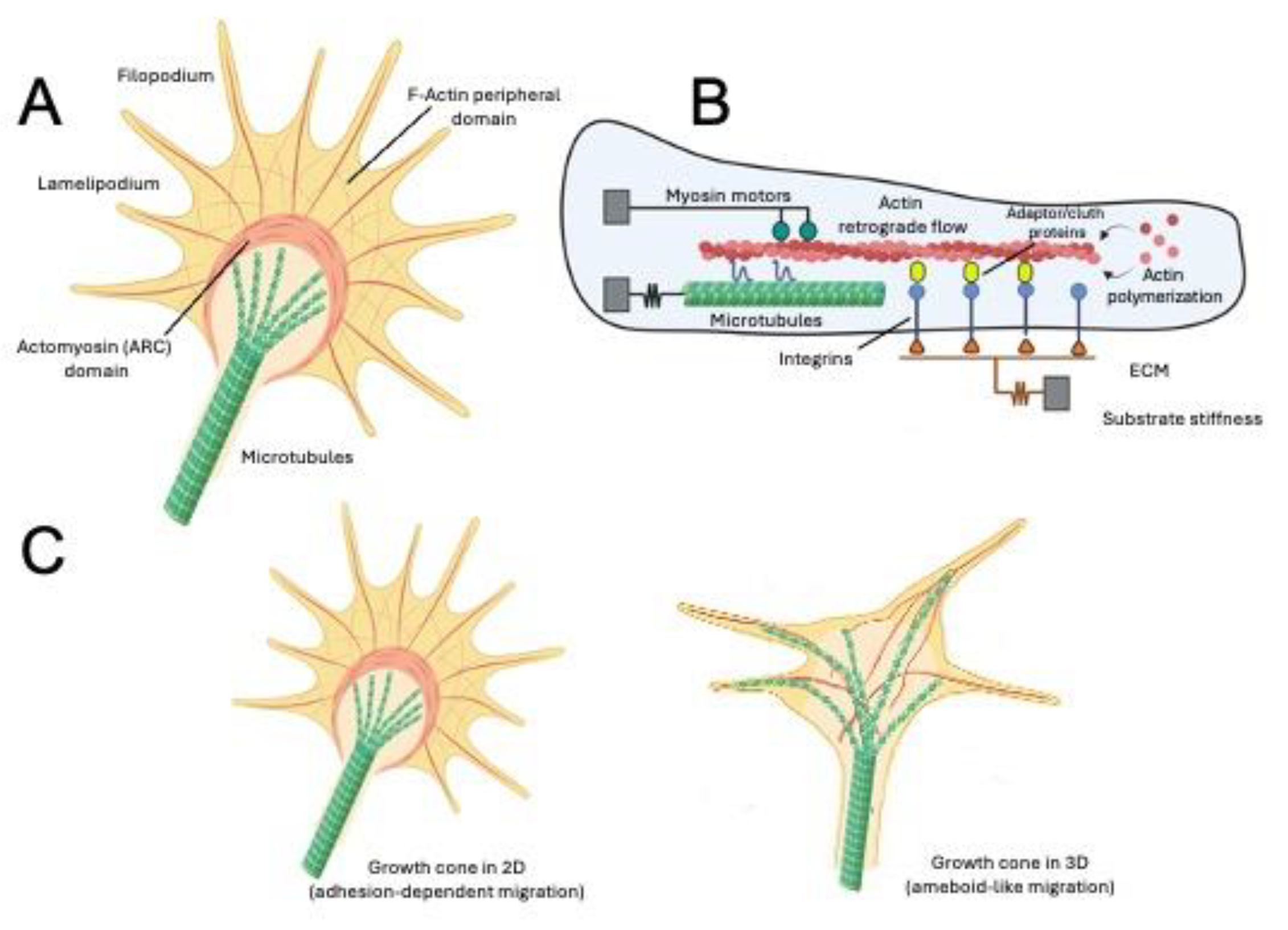 Preprints 189507 g003