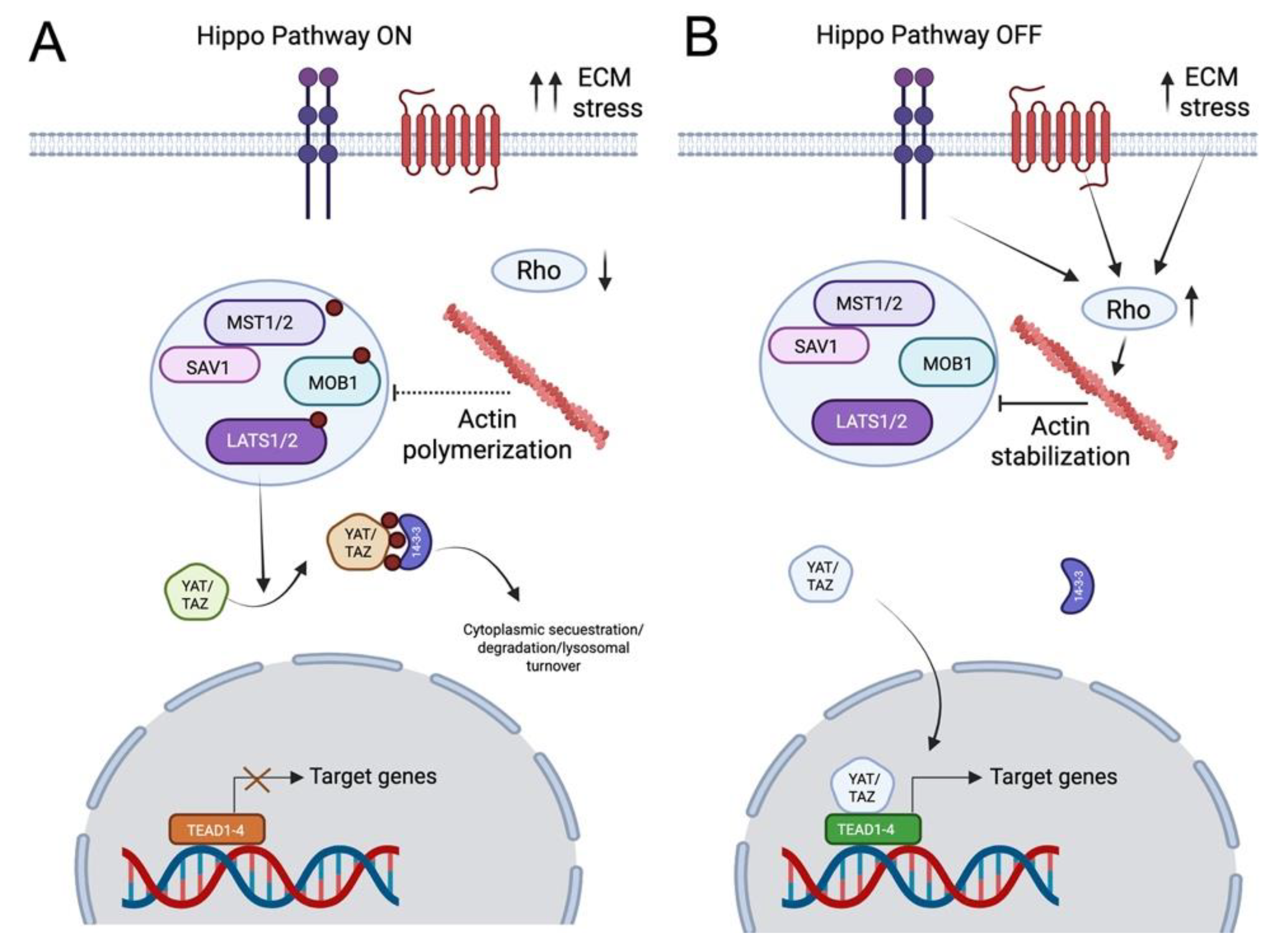 Preprints 189507 g004