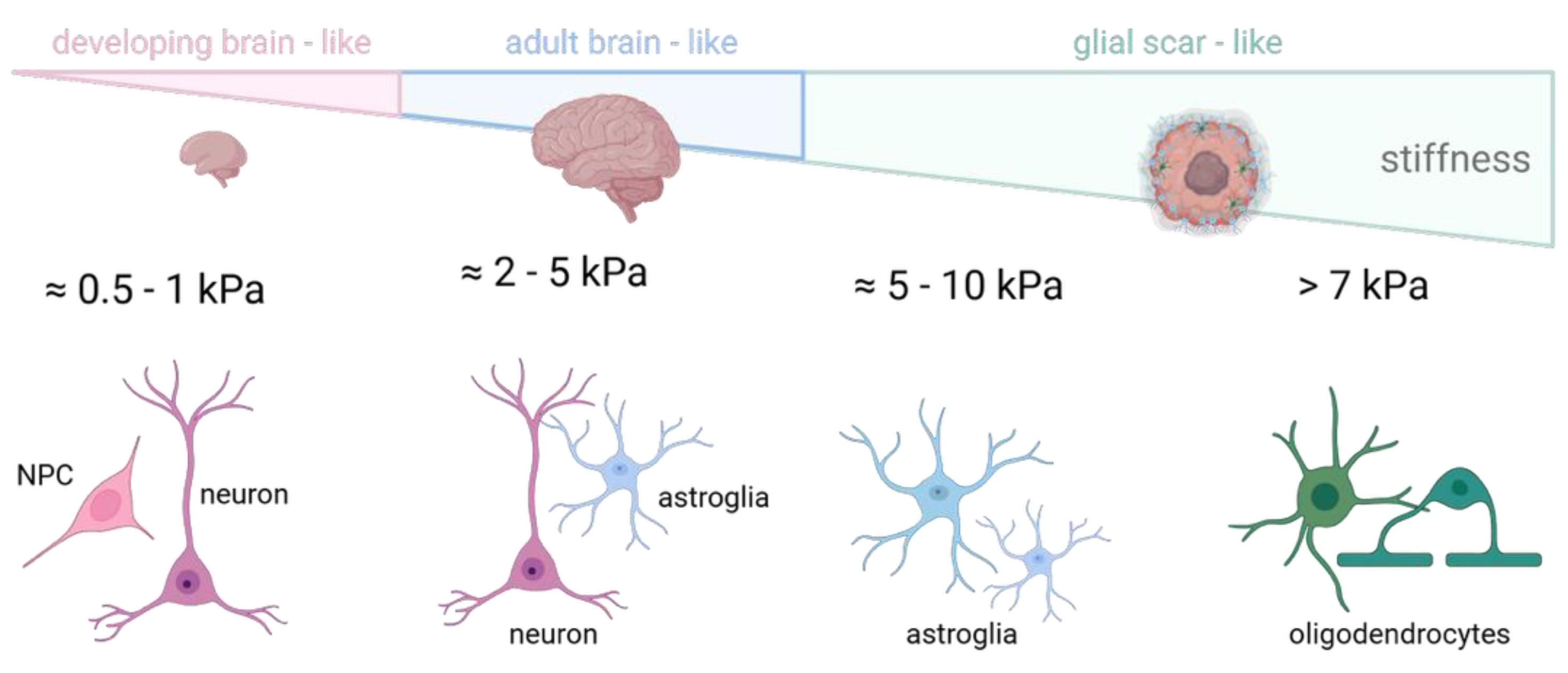 Preprints 189507 g005