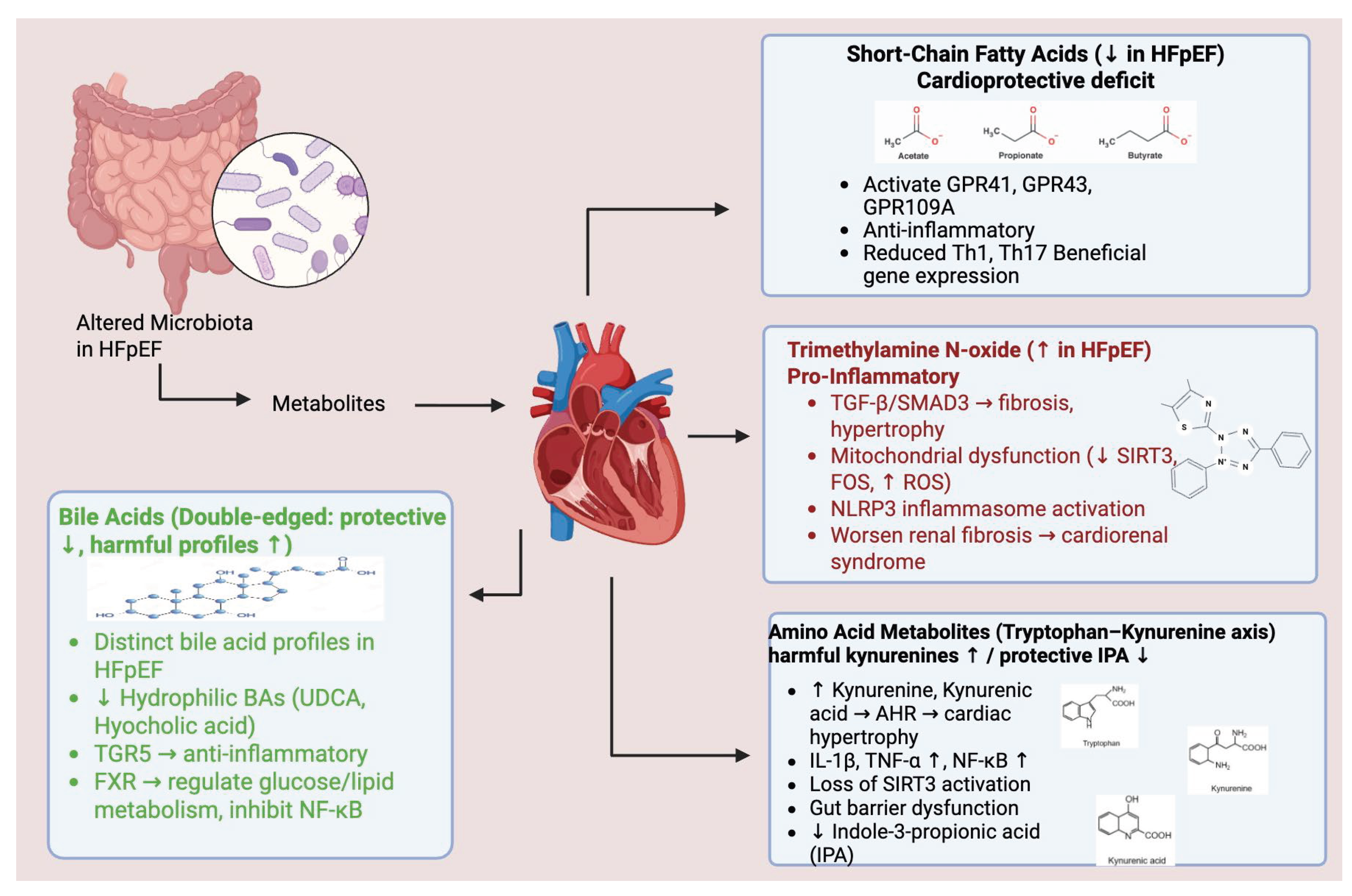 Preprints 196604 g001