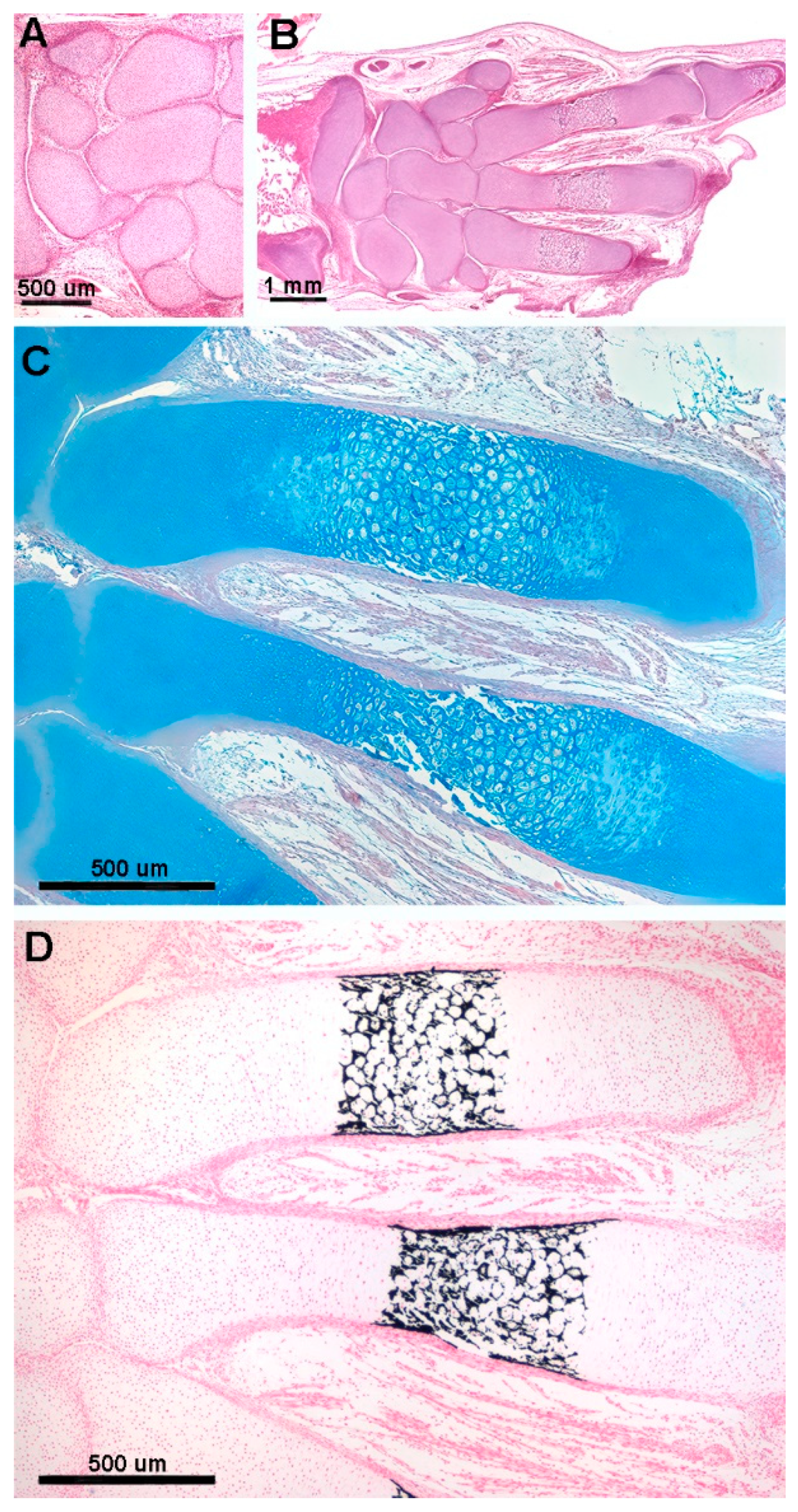 Preprints 114373 g002