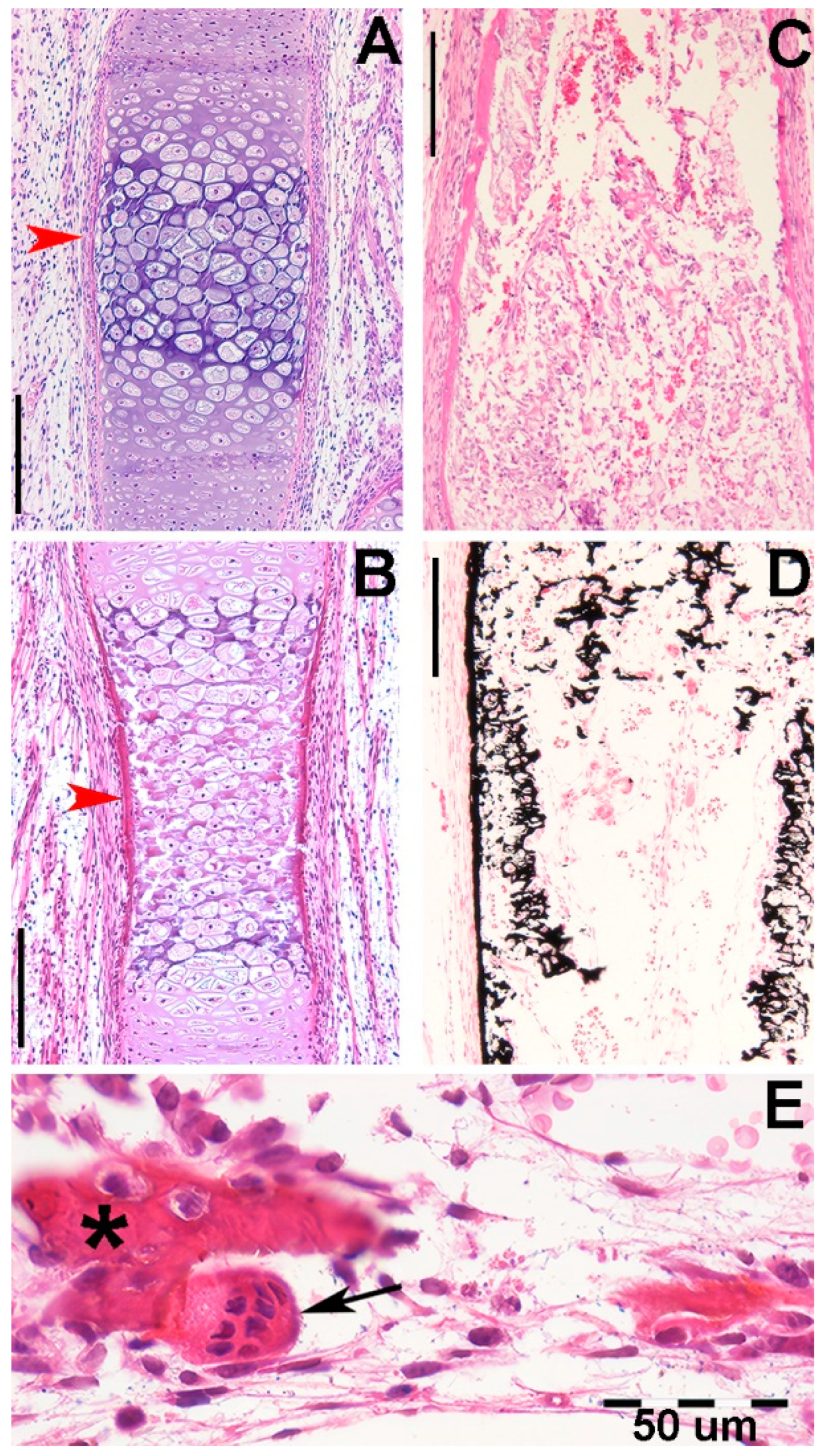 Preprints 114373 g003