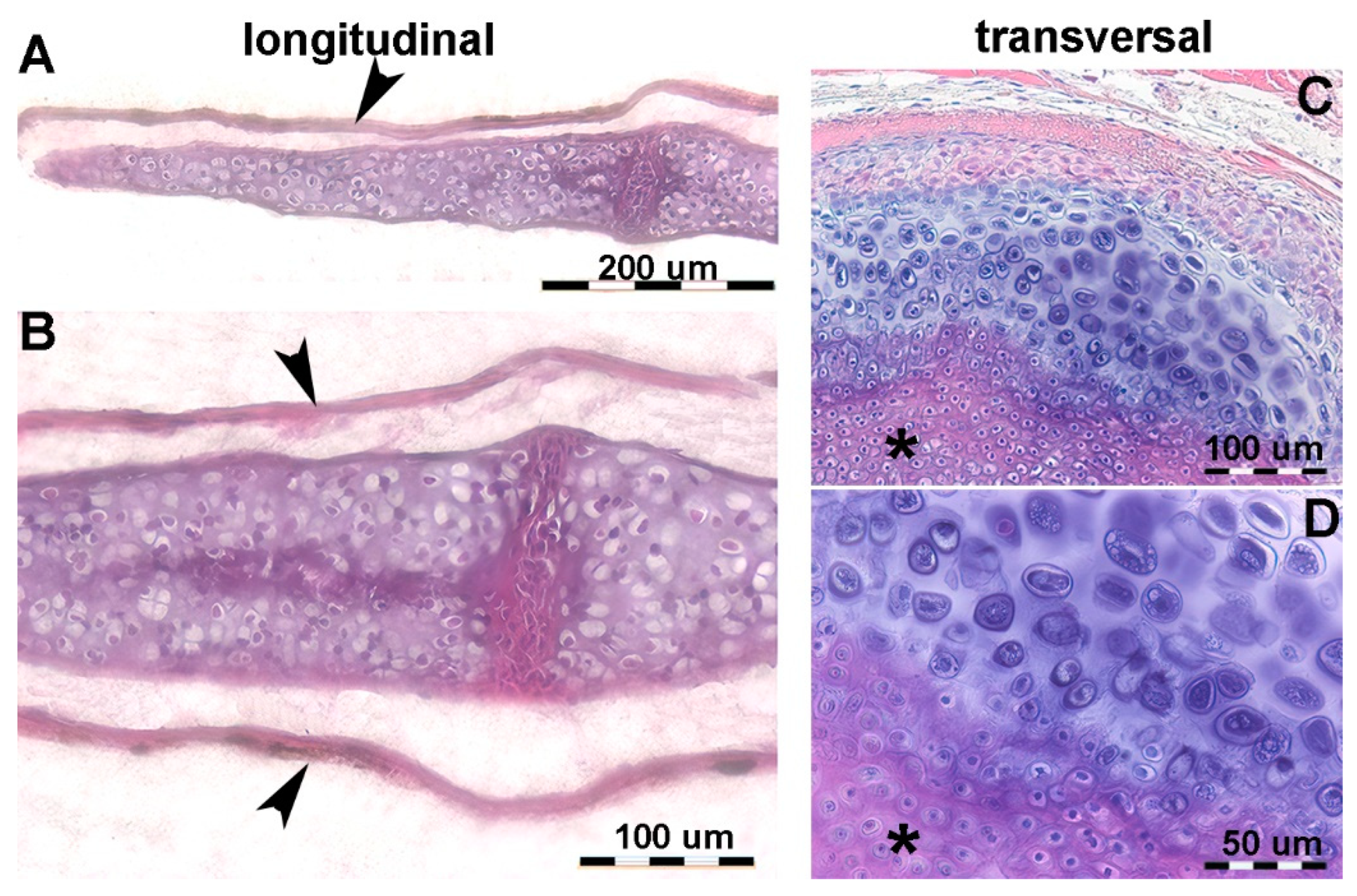 Preprints 114373 g004