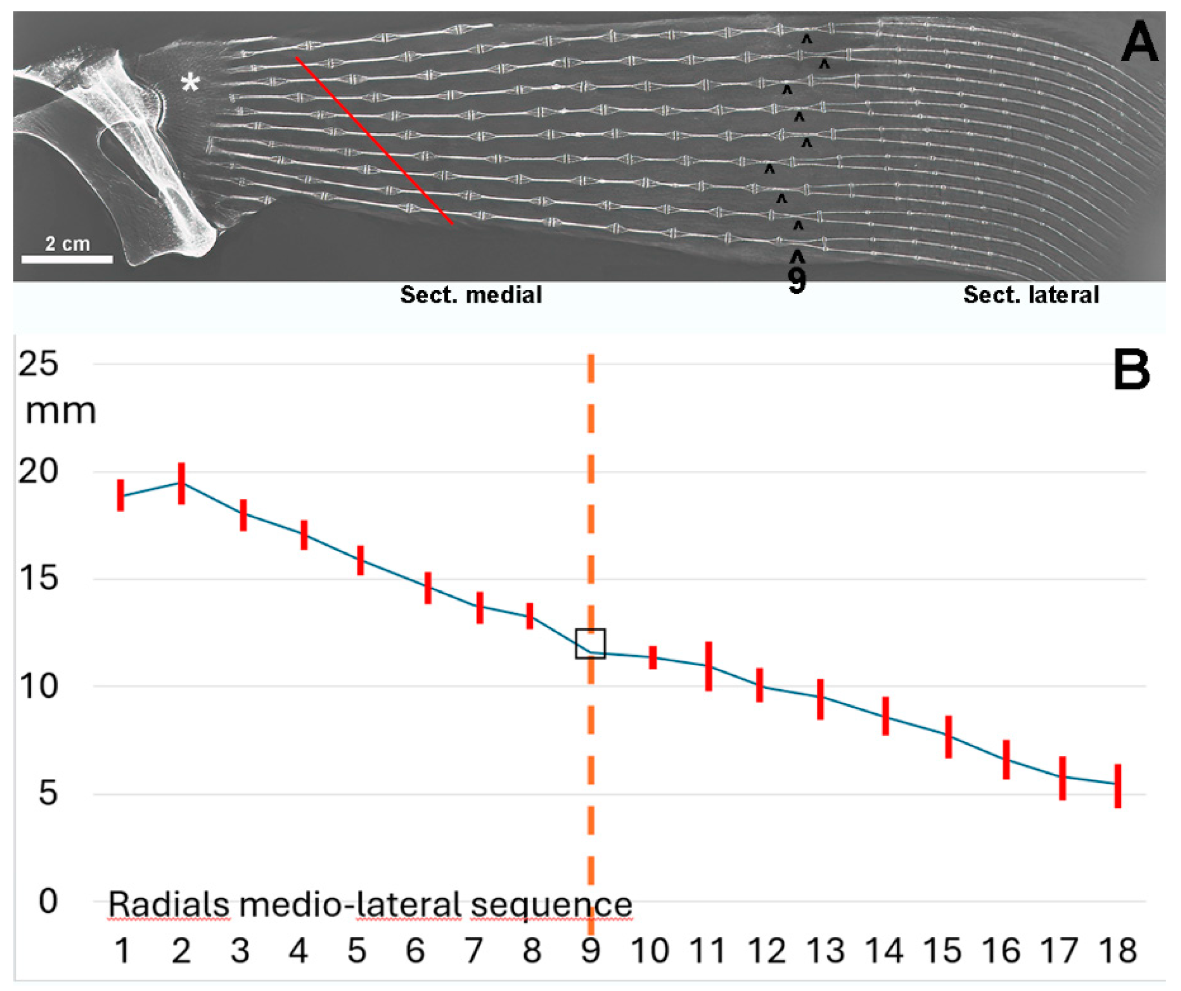 Preprints 114373 g006