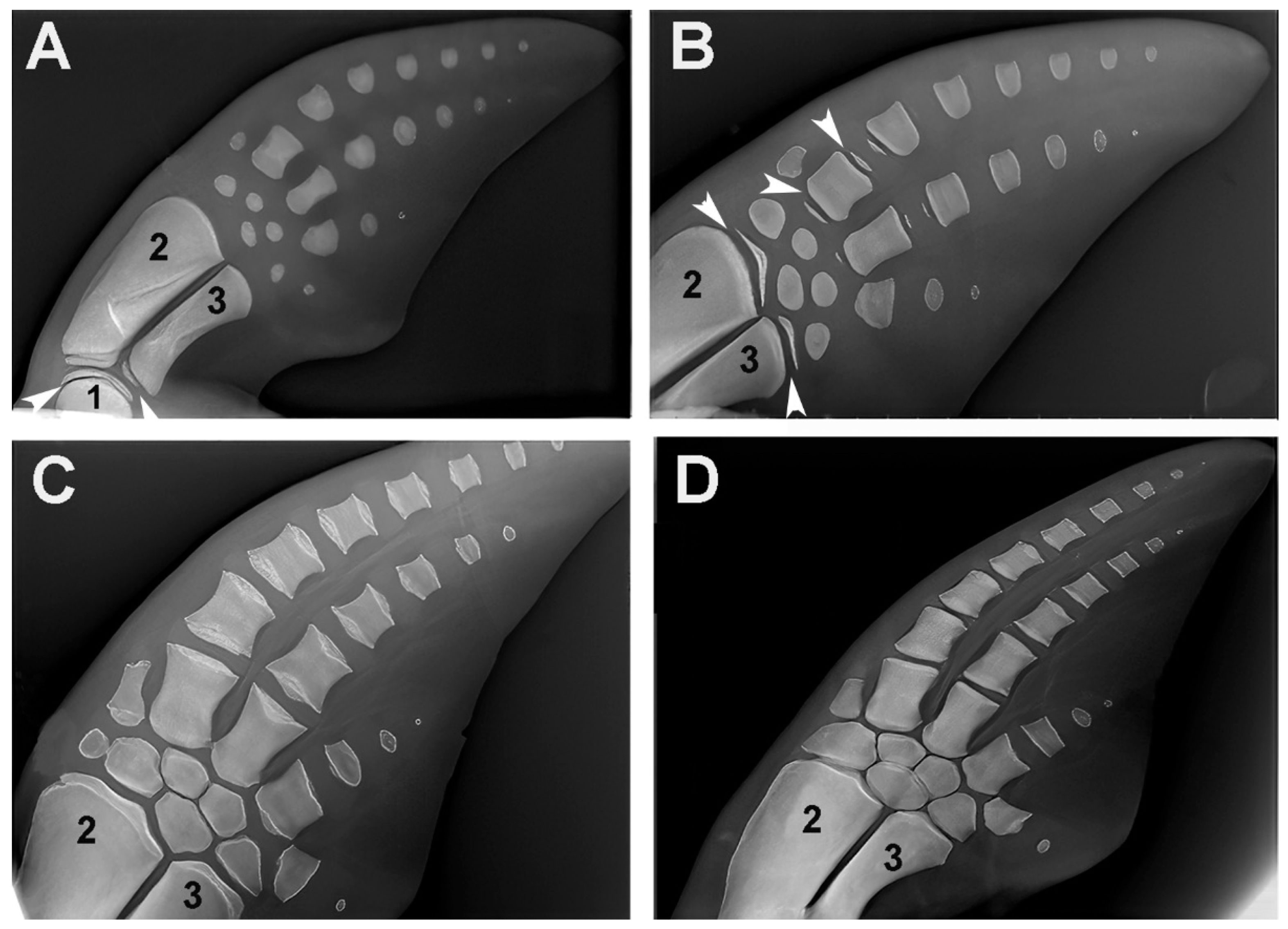 Preprints 114373 g010