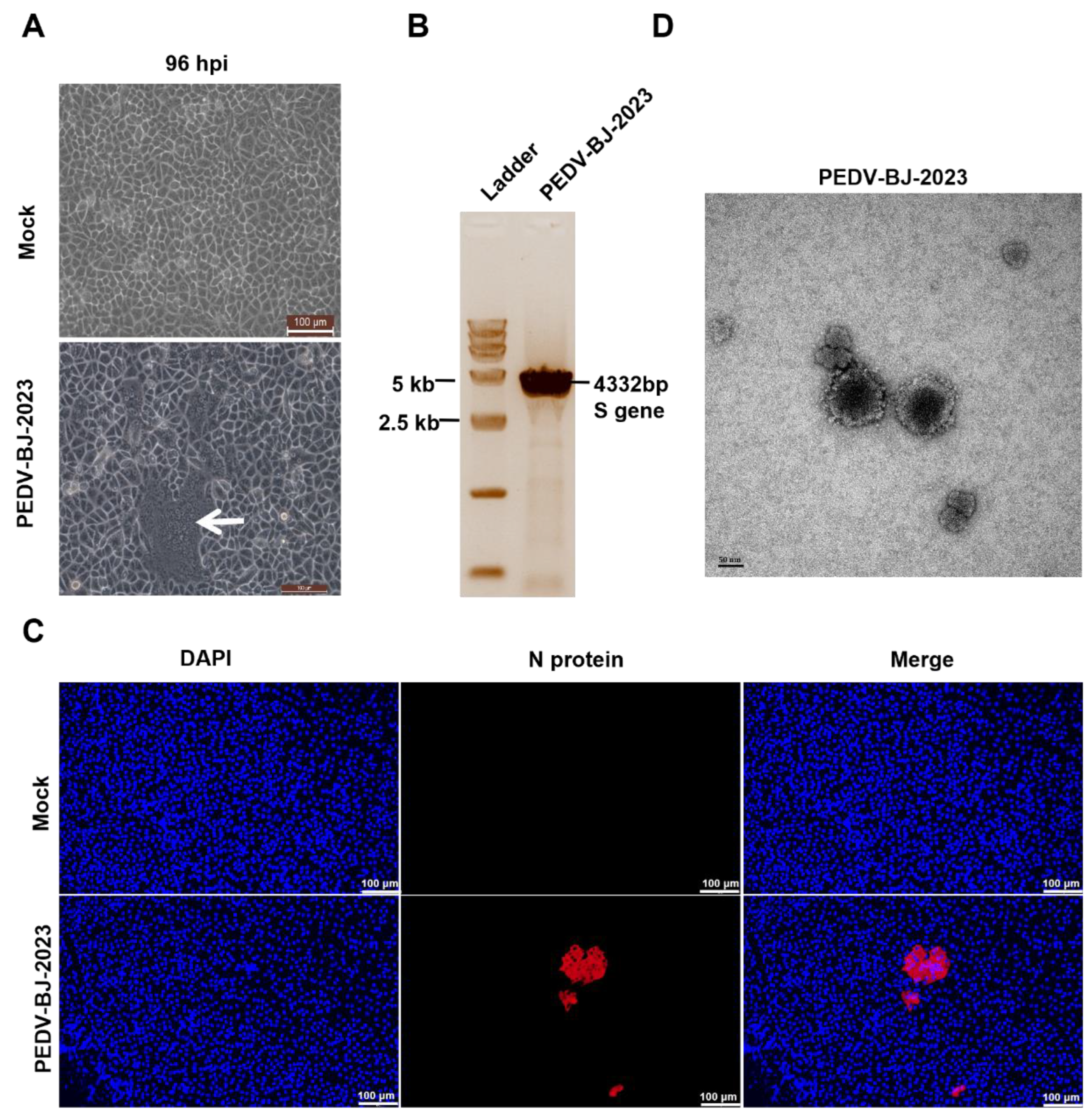 Preprints 225457 g001 Preprints 225457 g001