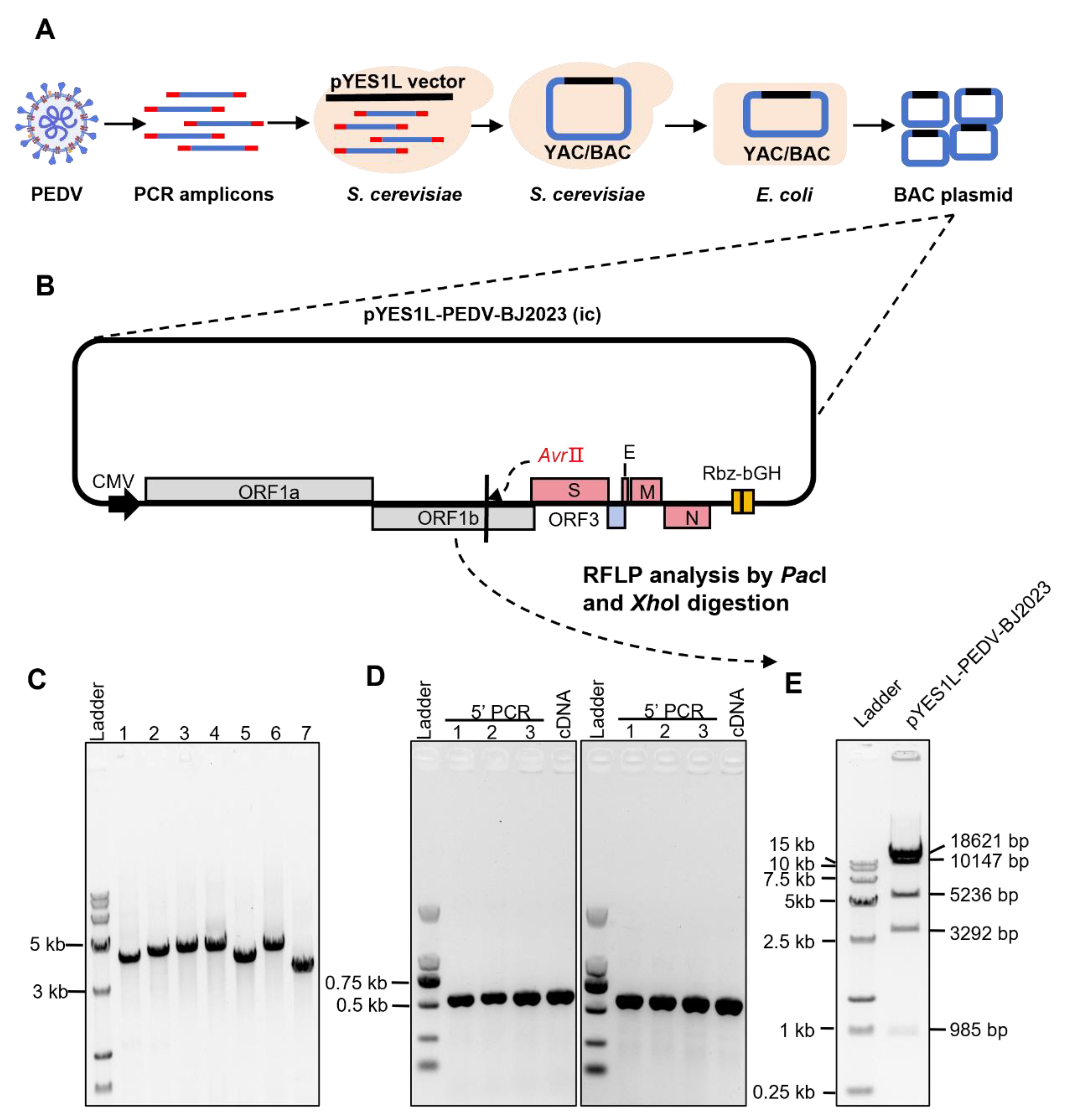 Preprints 225457 g003 Preprints 225457 g003