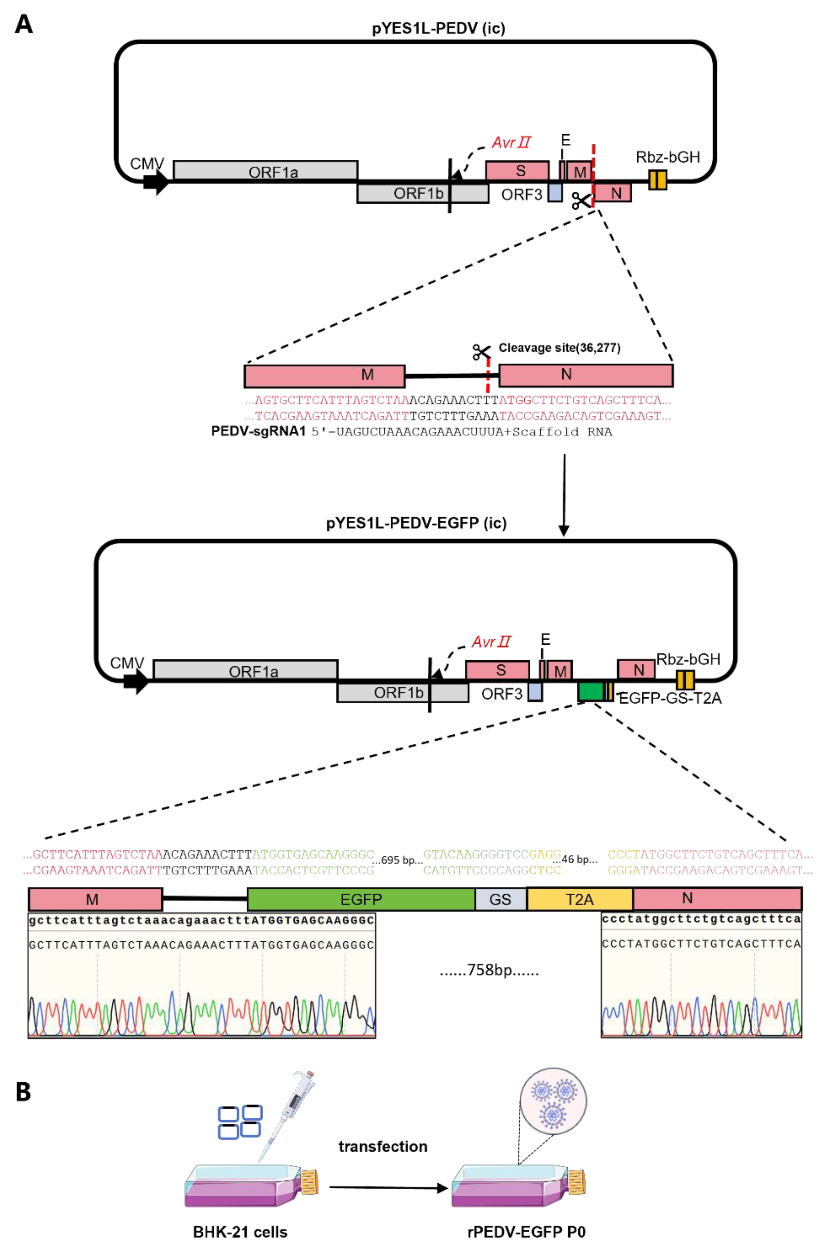 Preprints 225457 g005 Preprints 225457 g005