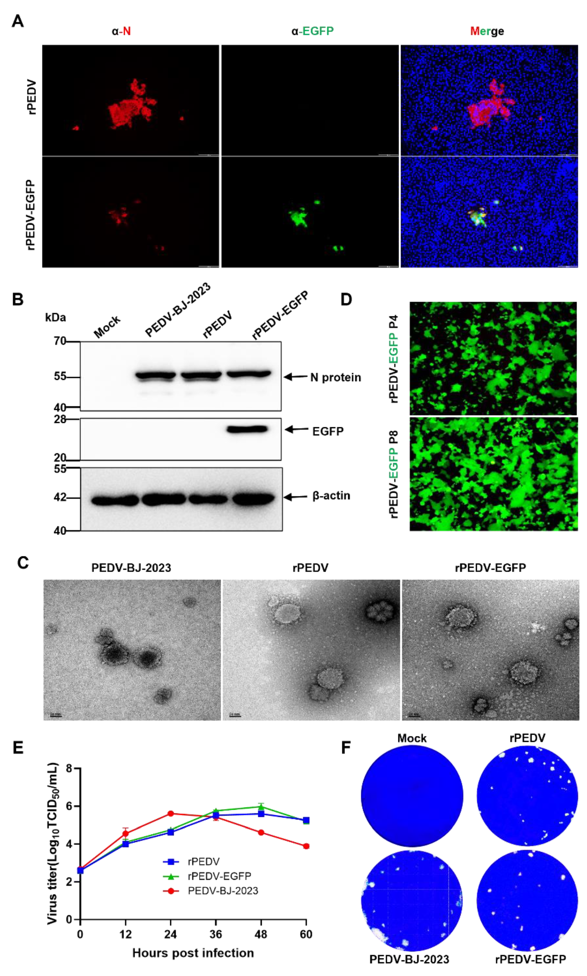 Preprints 225457 g006 Preprints 225457 g006