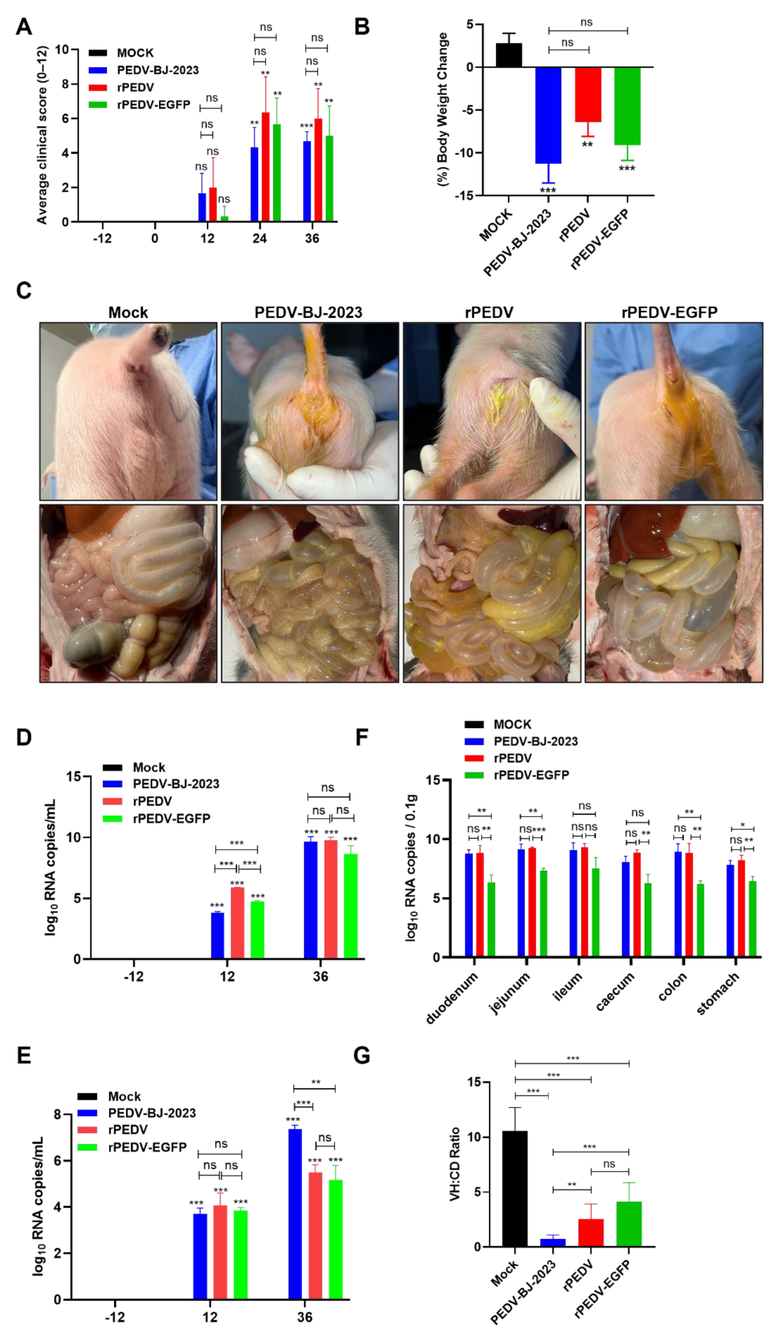 Preprints 225457 g007 Preprints 225457 g007