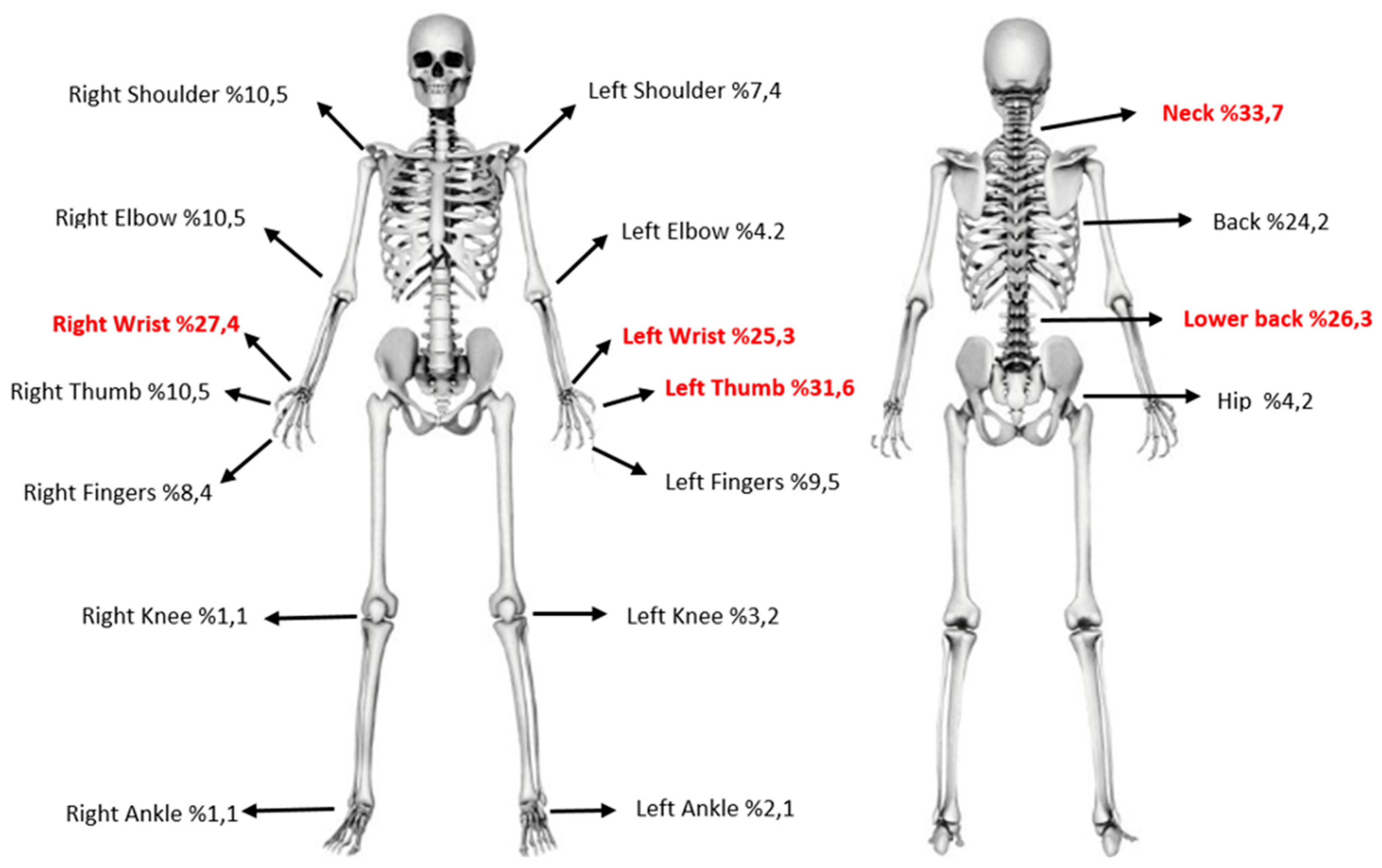 Preprints 170409 g001