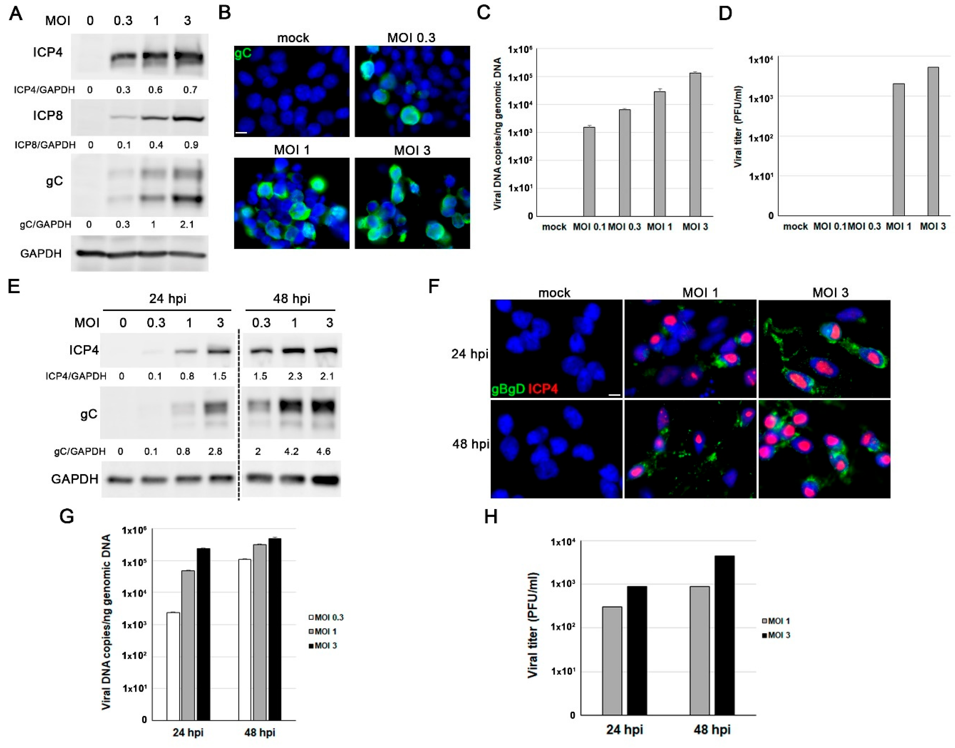 Preprints 183692 g002