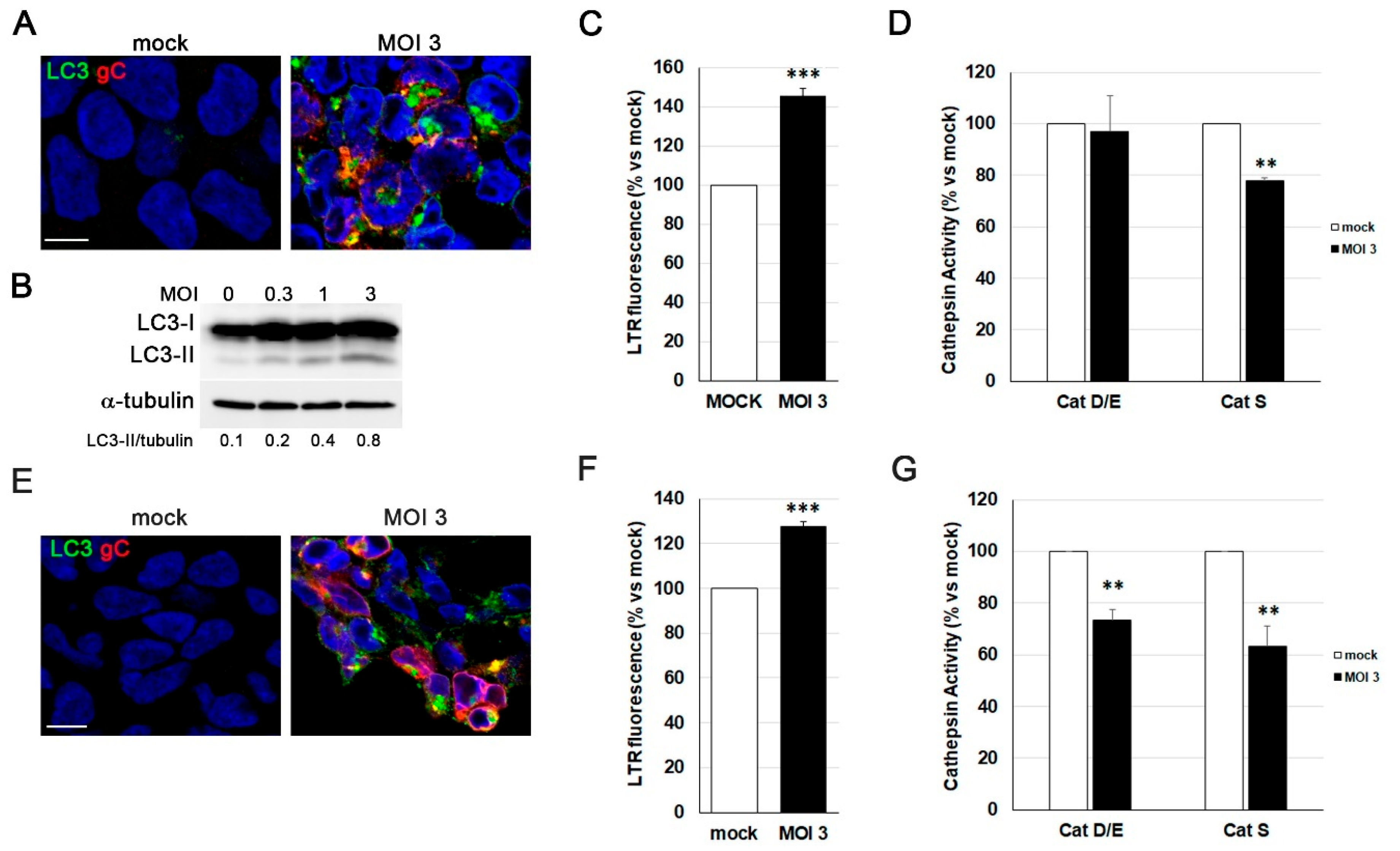 Preprints 183692 g004