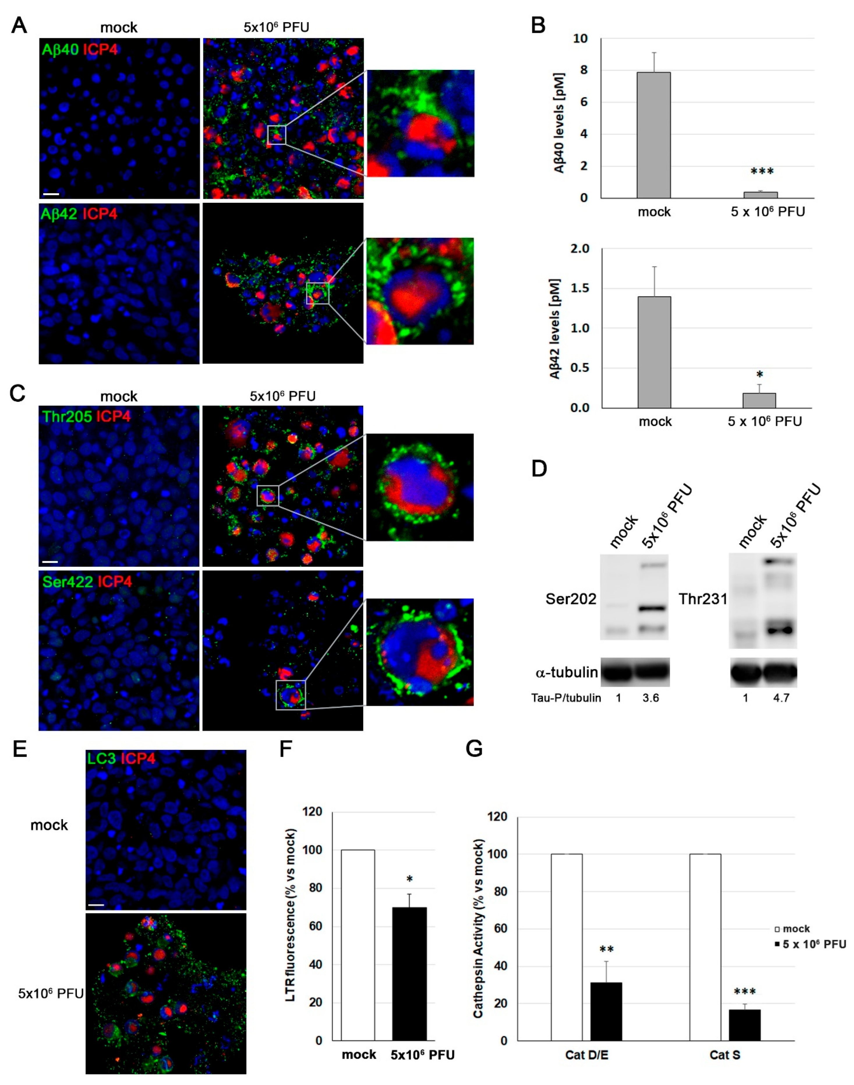 Preprints 183692 g007