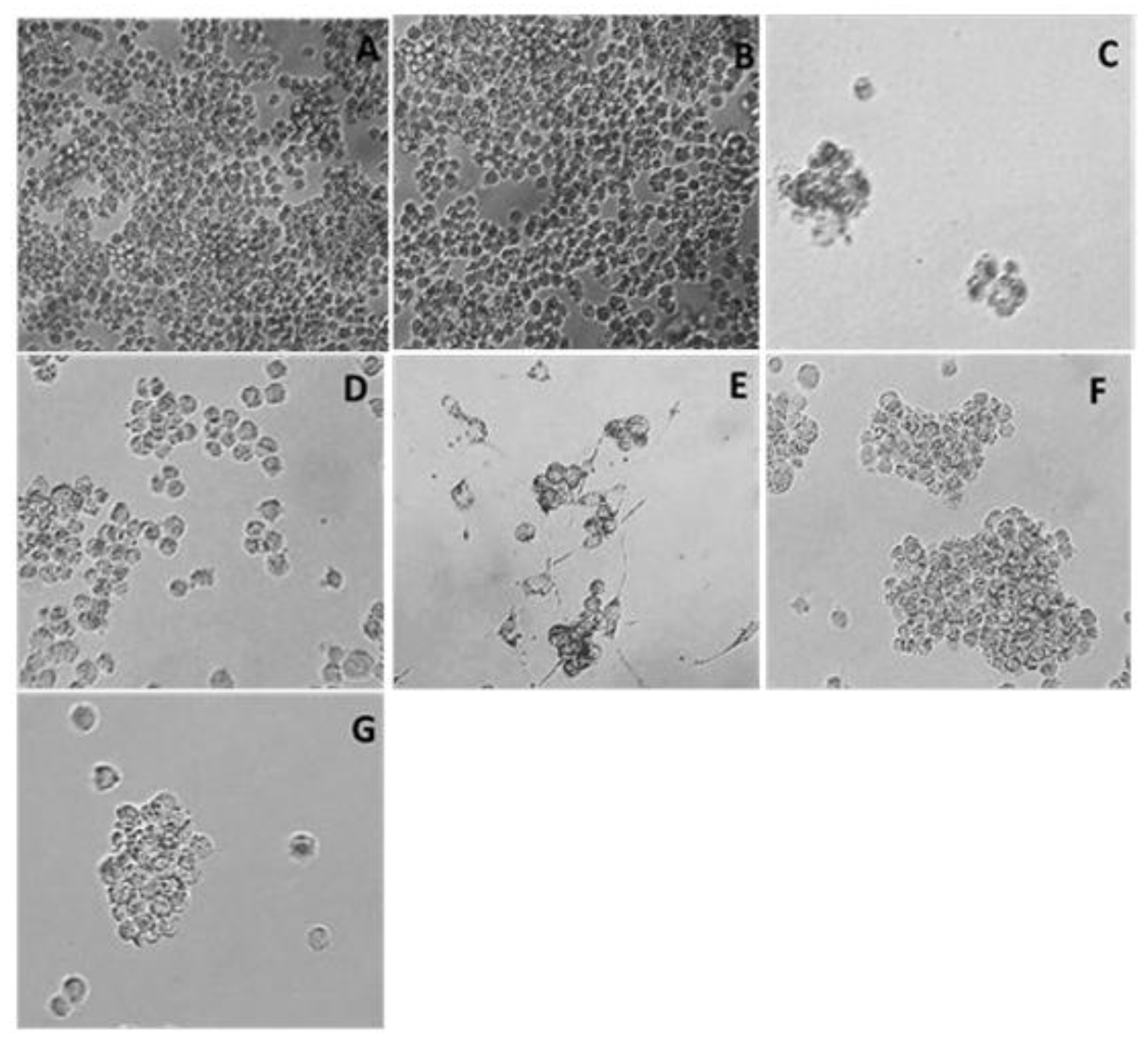Preprints 173853 g001