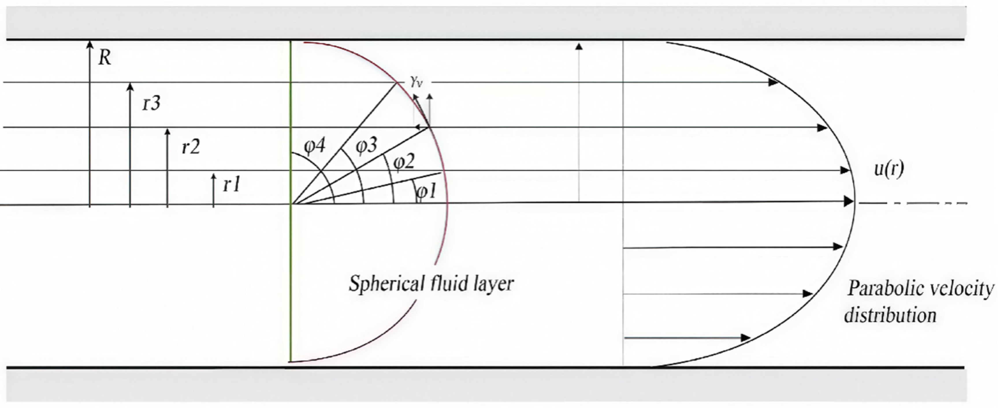 Preprints 207203 g001