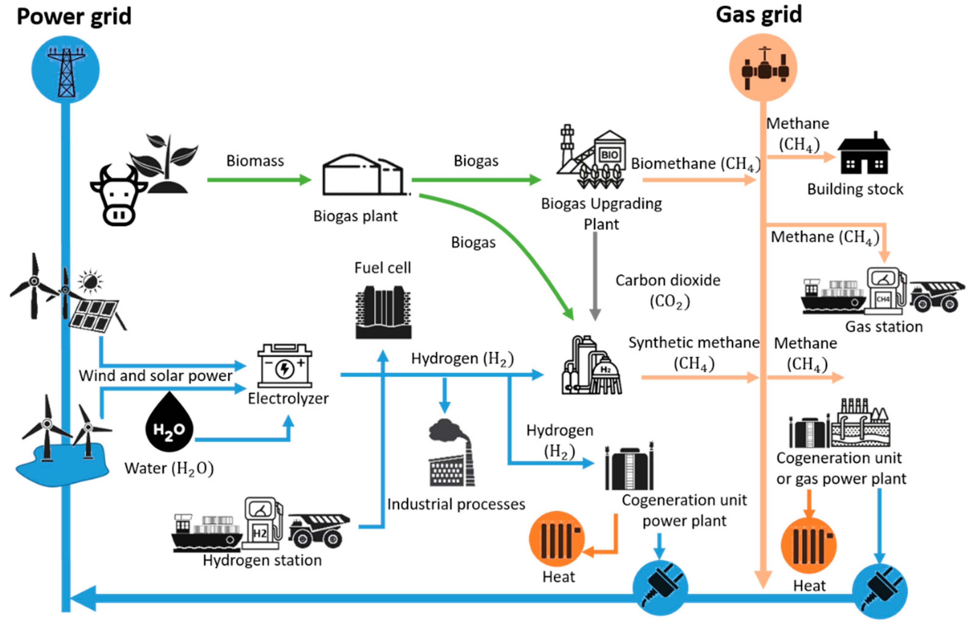 Preprints 193061 g010