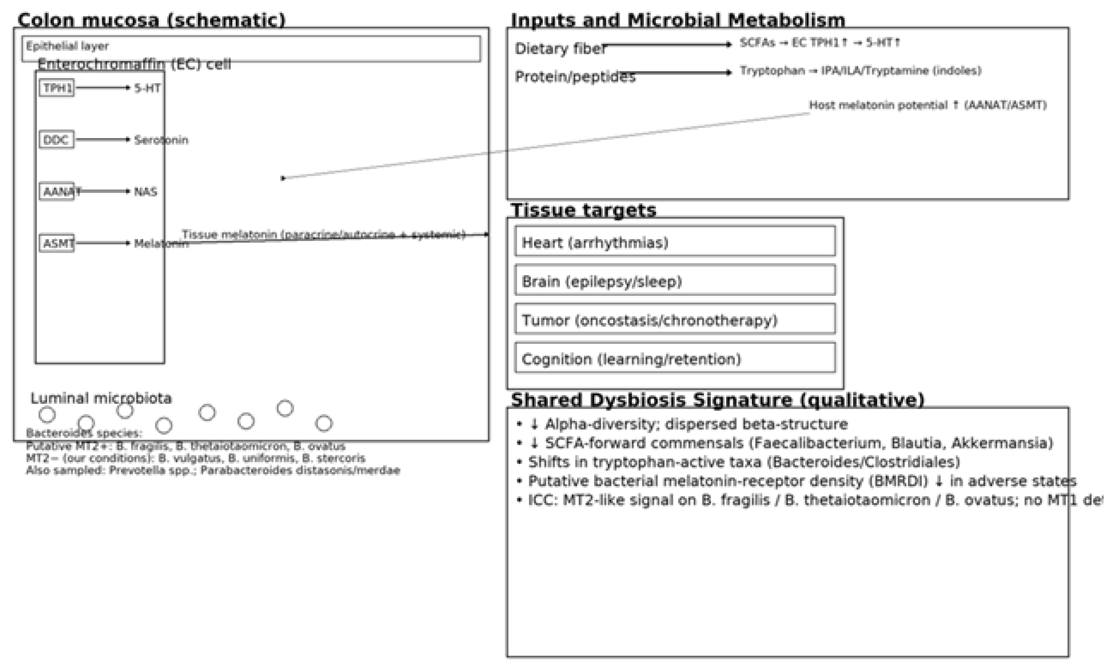 Preprints 187880 g001