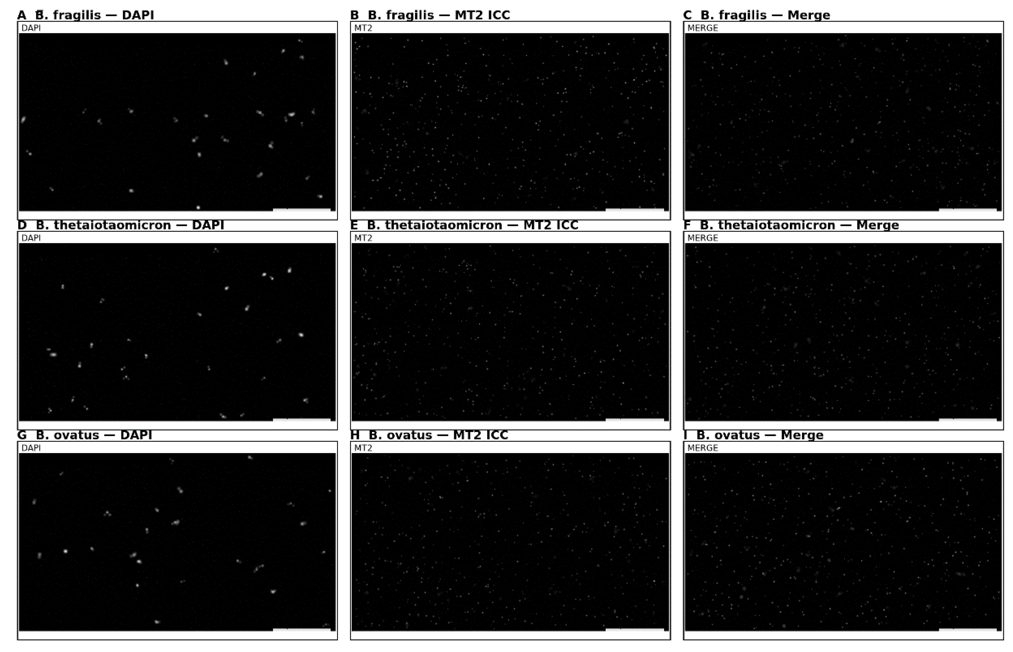 Preprints 187880 g008