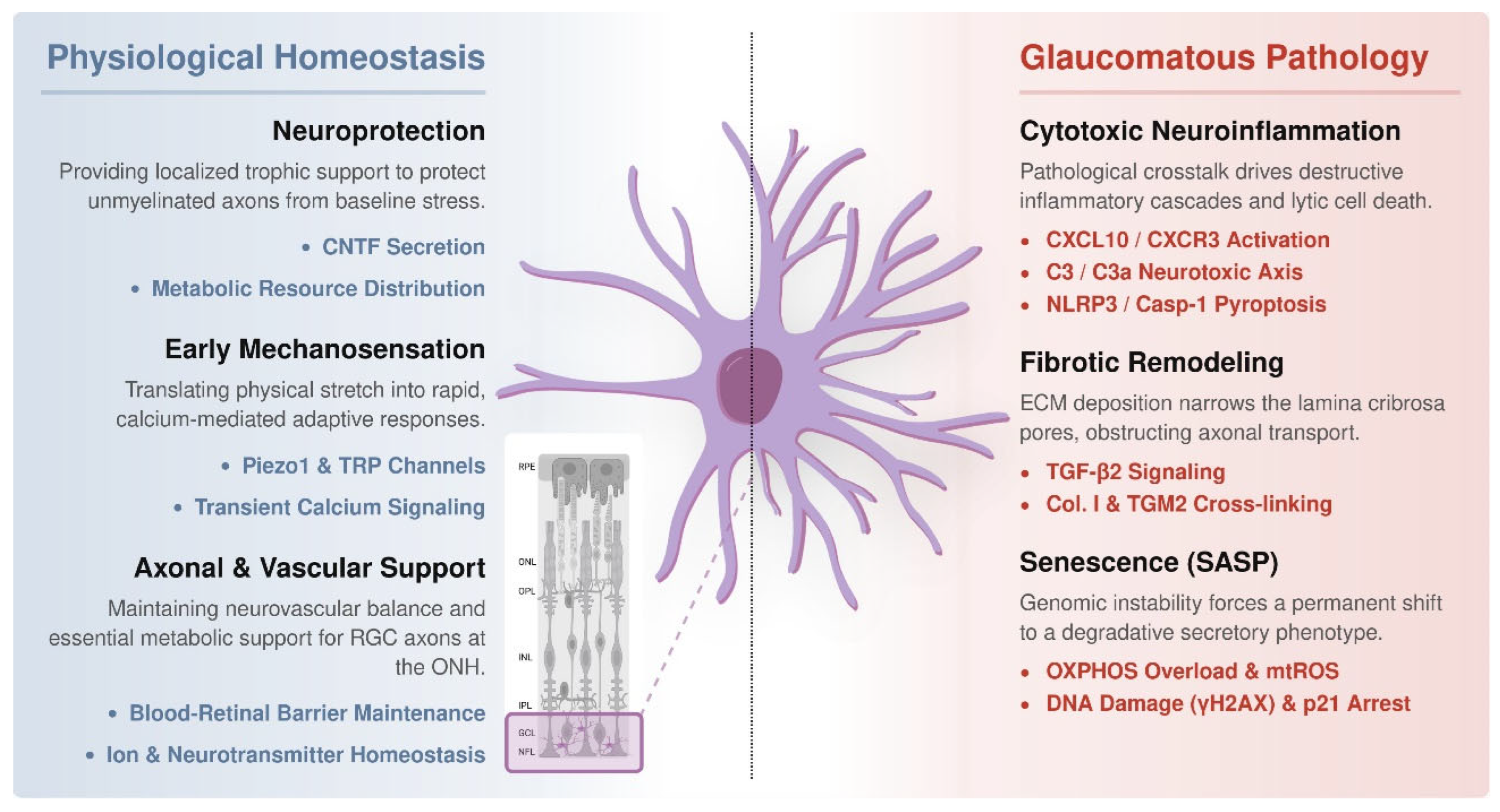 Preprints 221397 g002