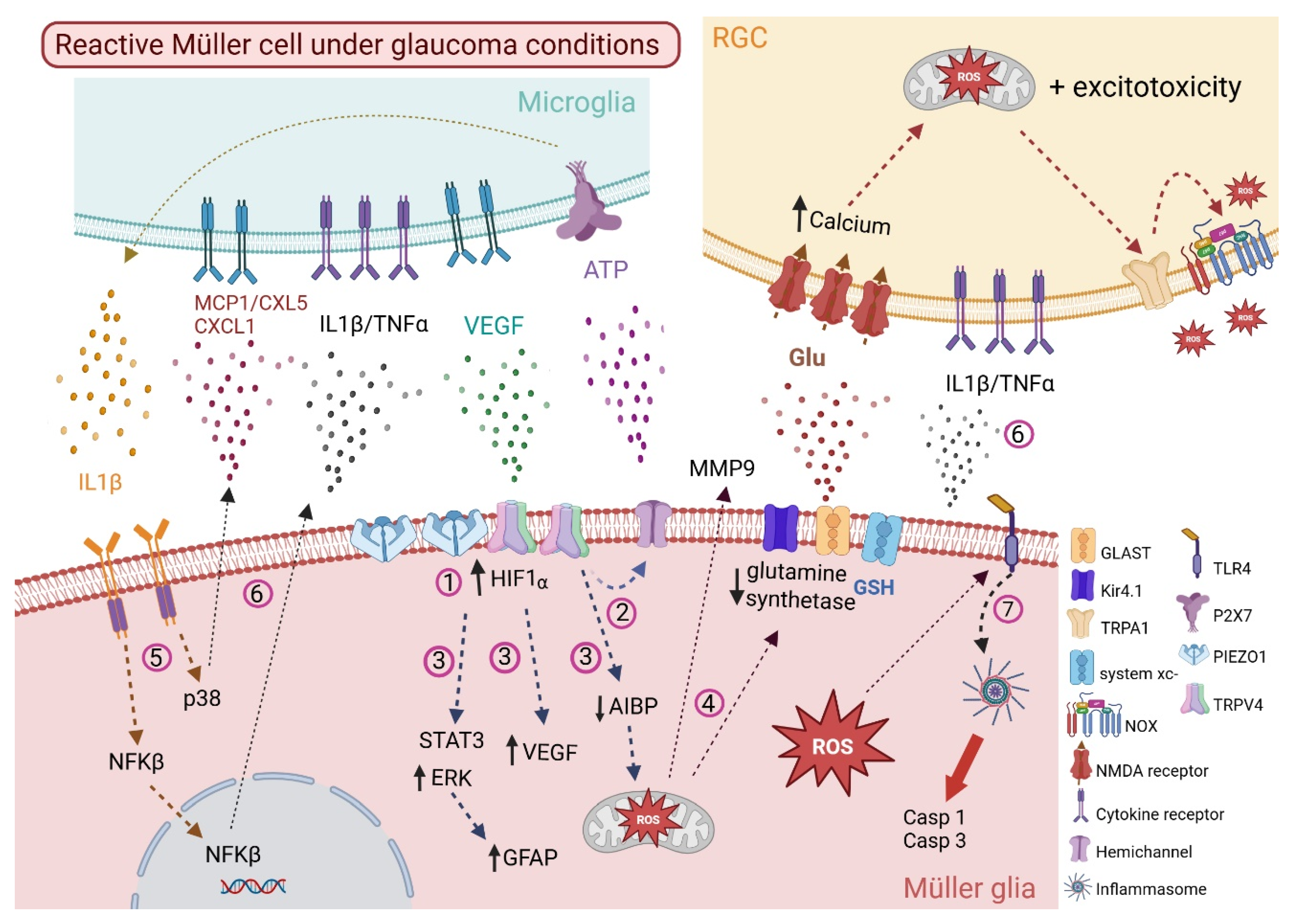 Preprints 221397 g004