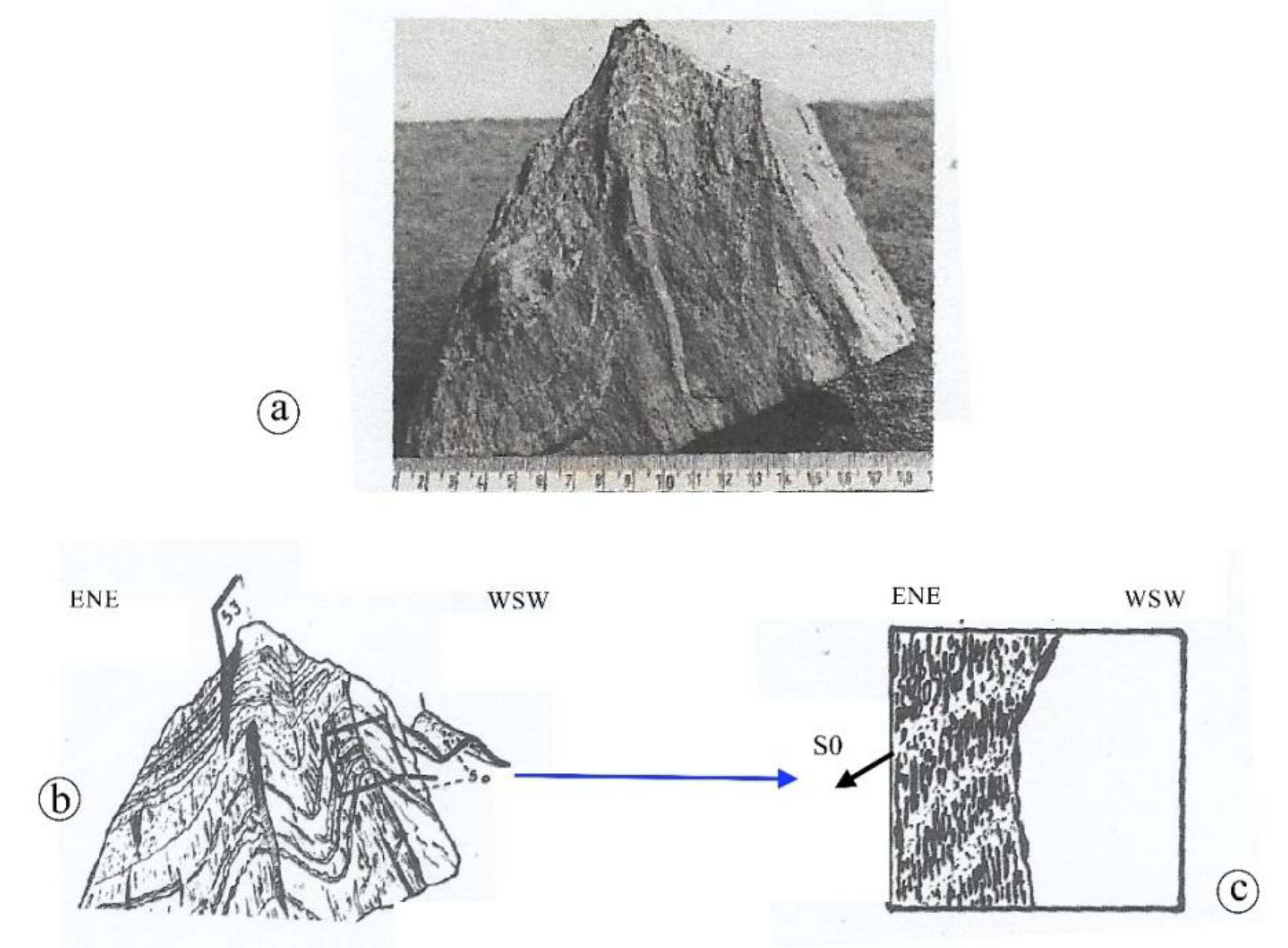 Preprints 180735 g006