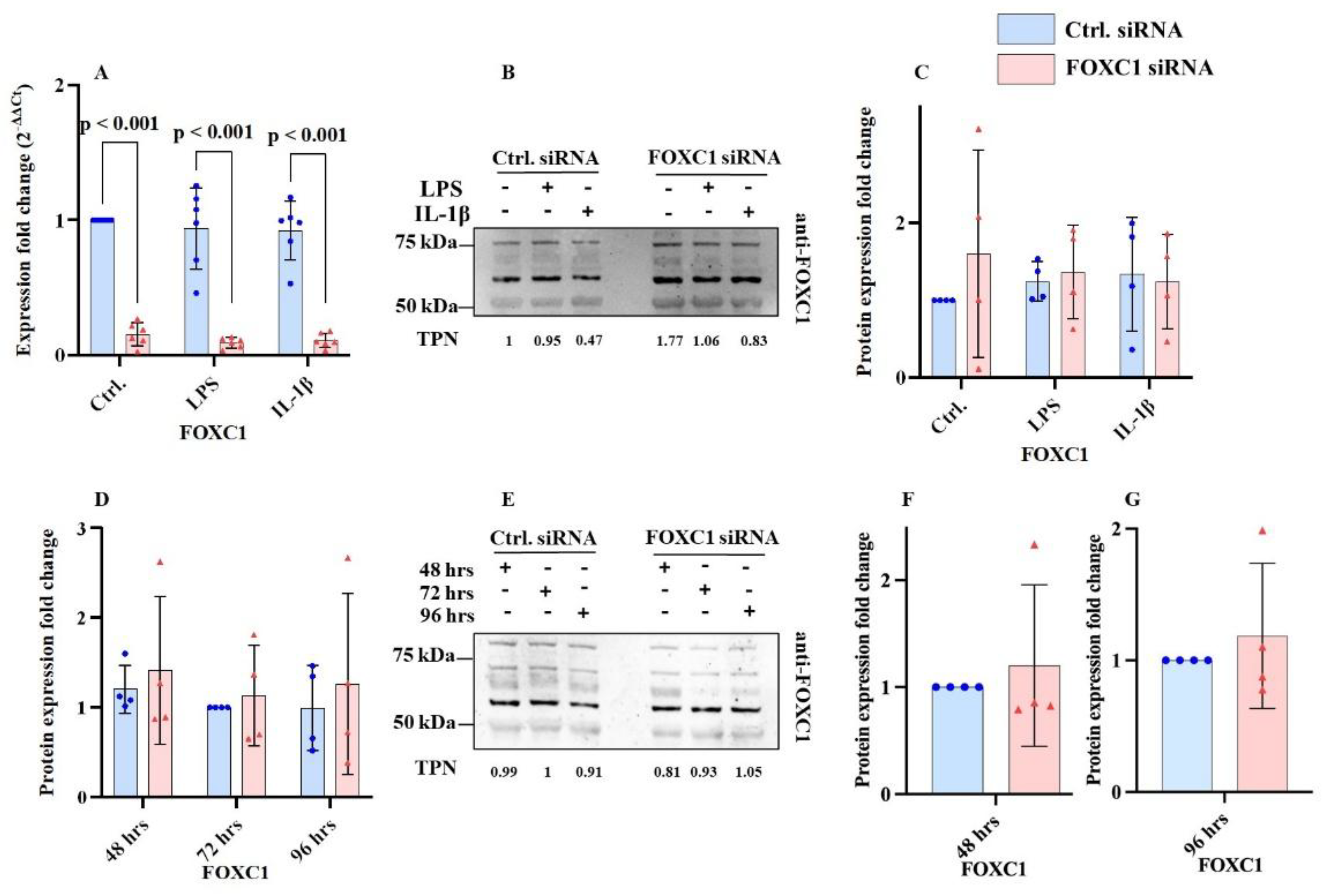 Preprints 193508 g001
