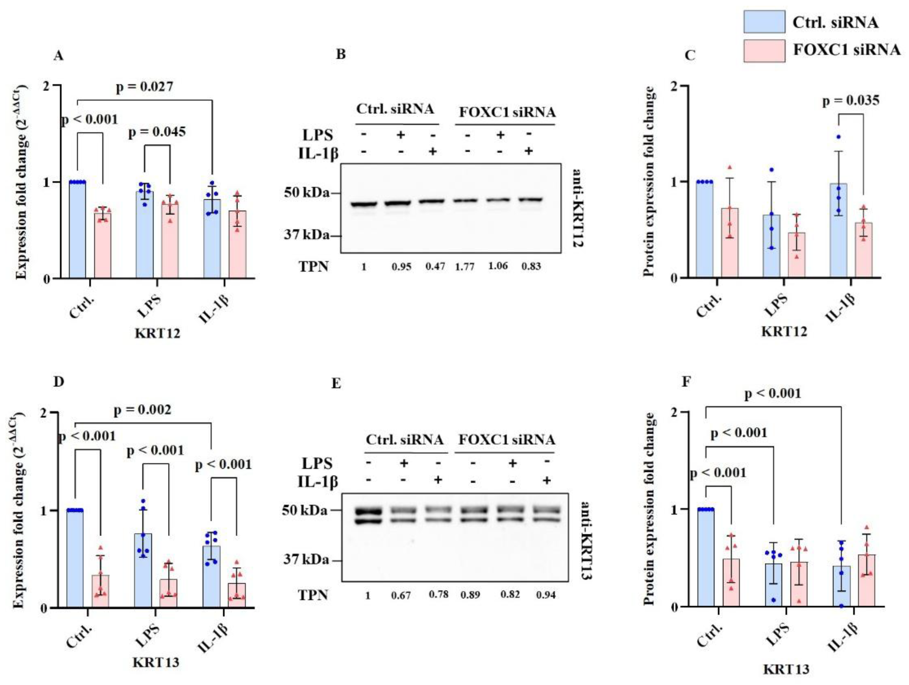 Preprints 193508 g002