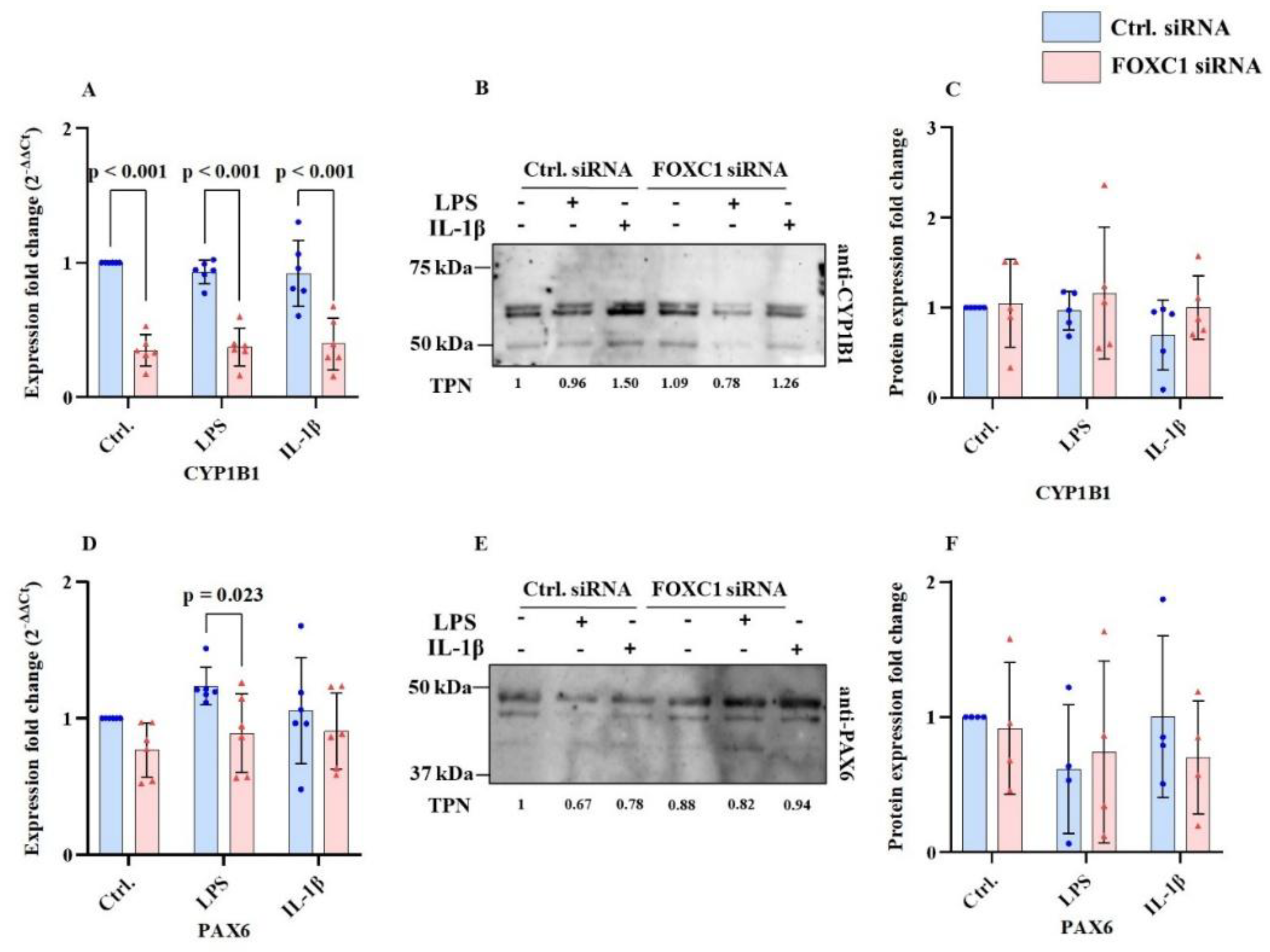Preprints 193508 g006
