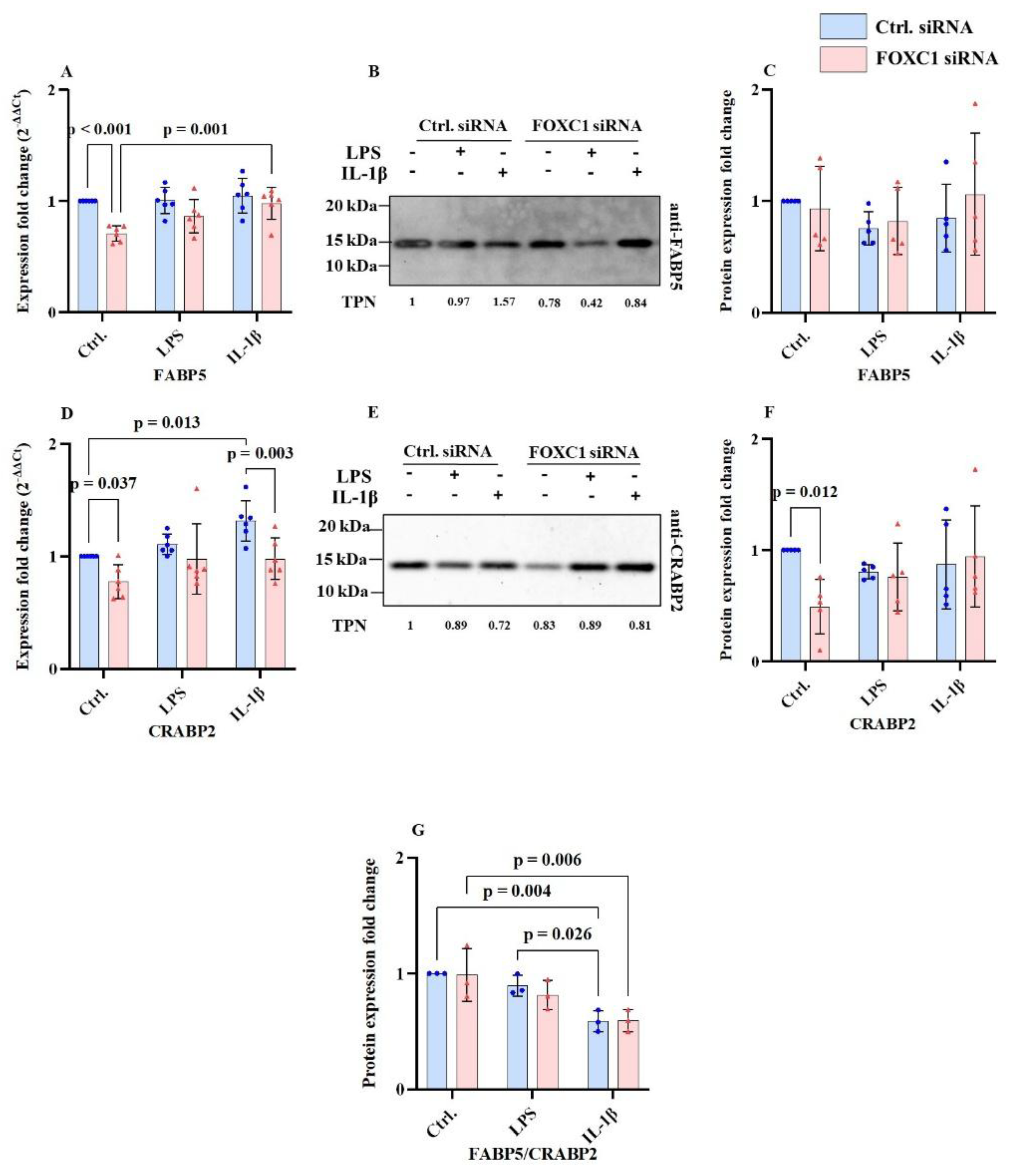 Preprints 193508 g007