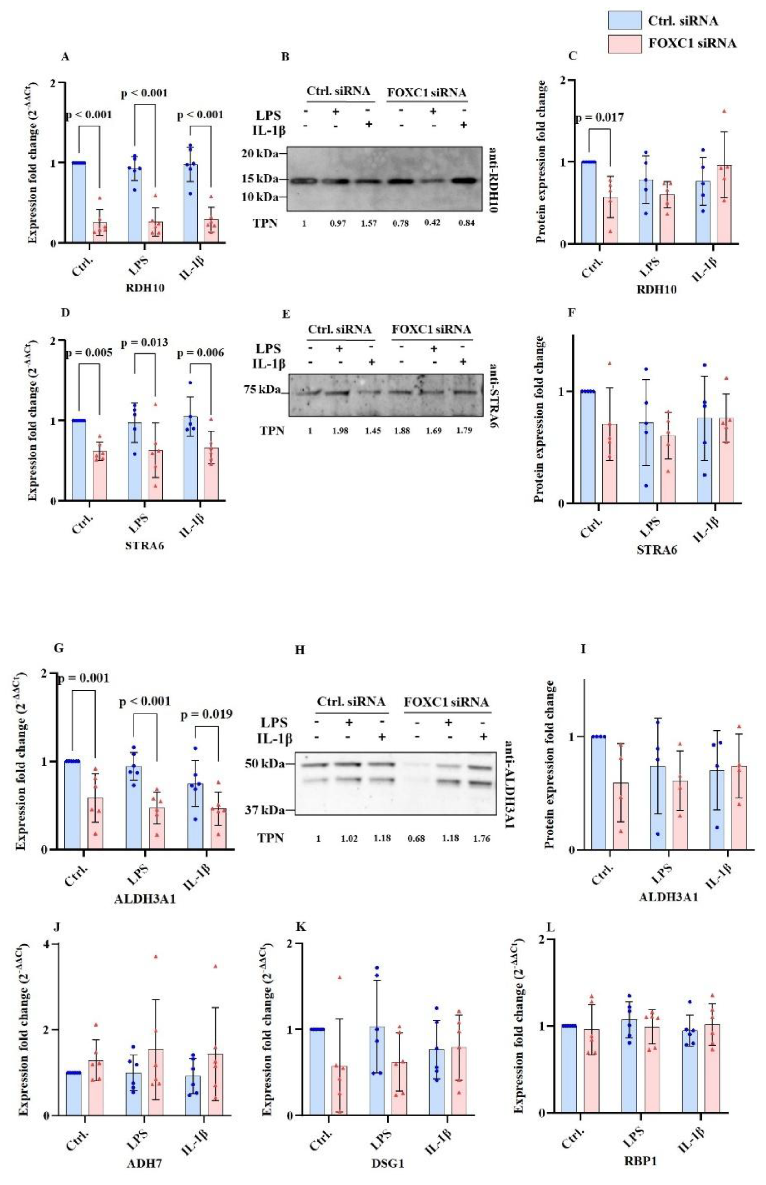 Preprints 193508 g008
