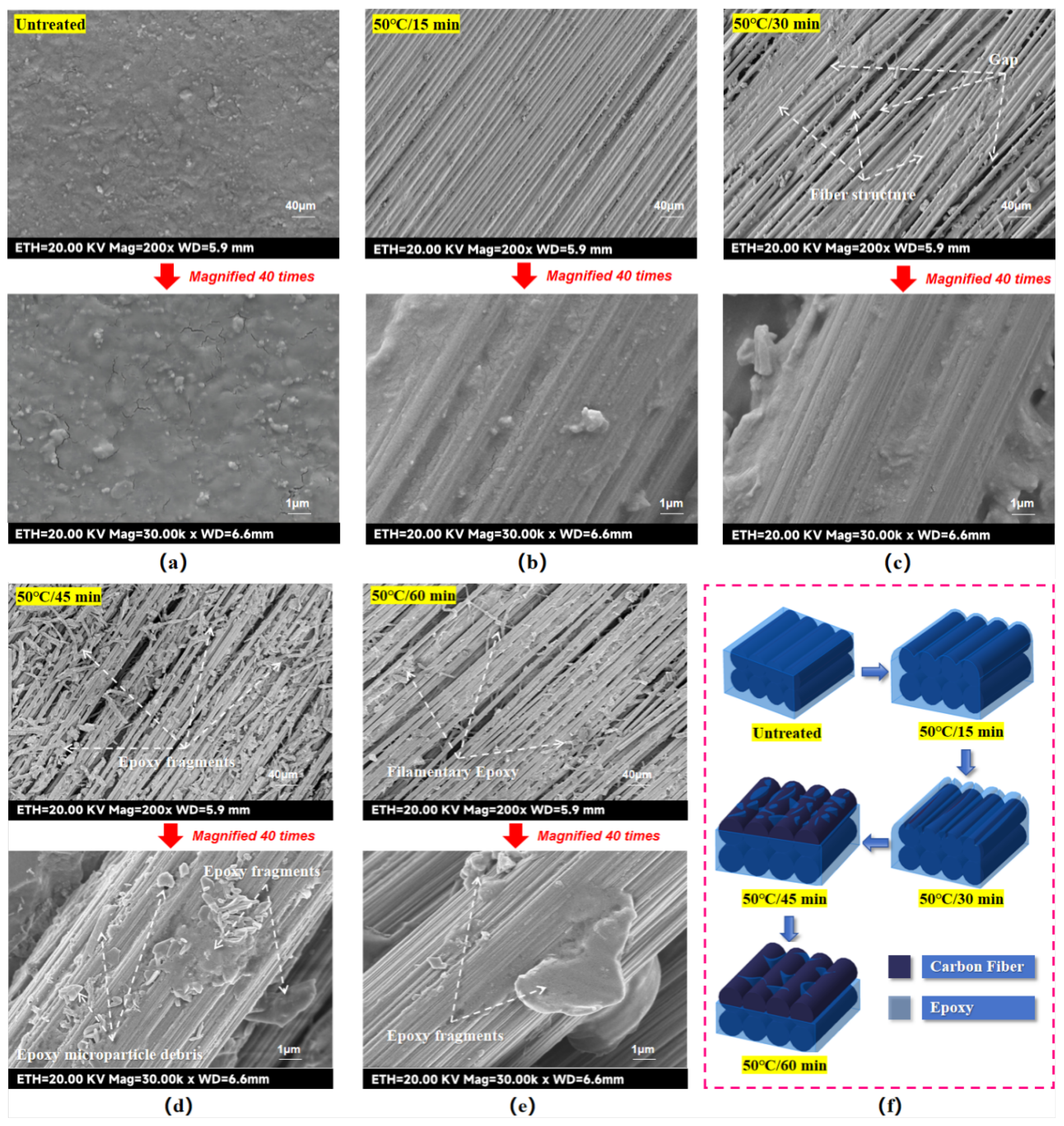 Preprints 157199 g006