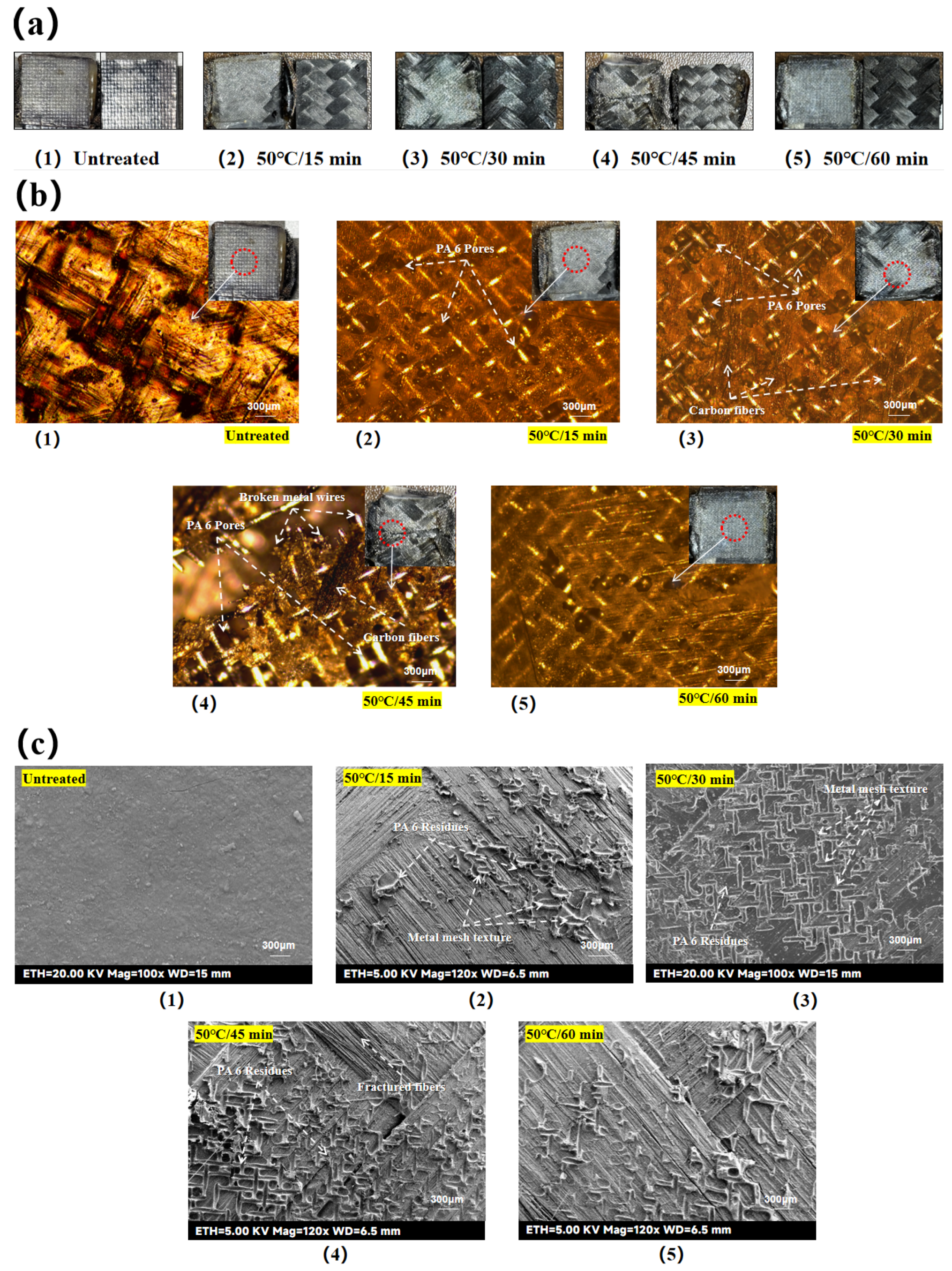 Preprints 157199 g013