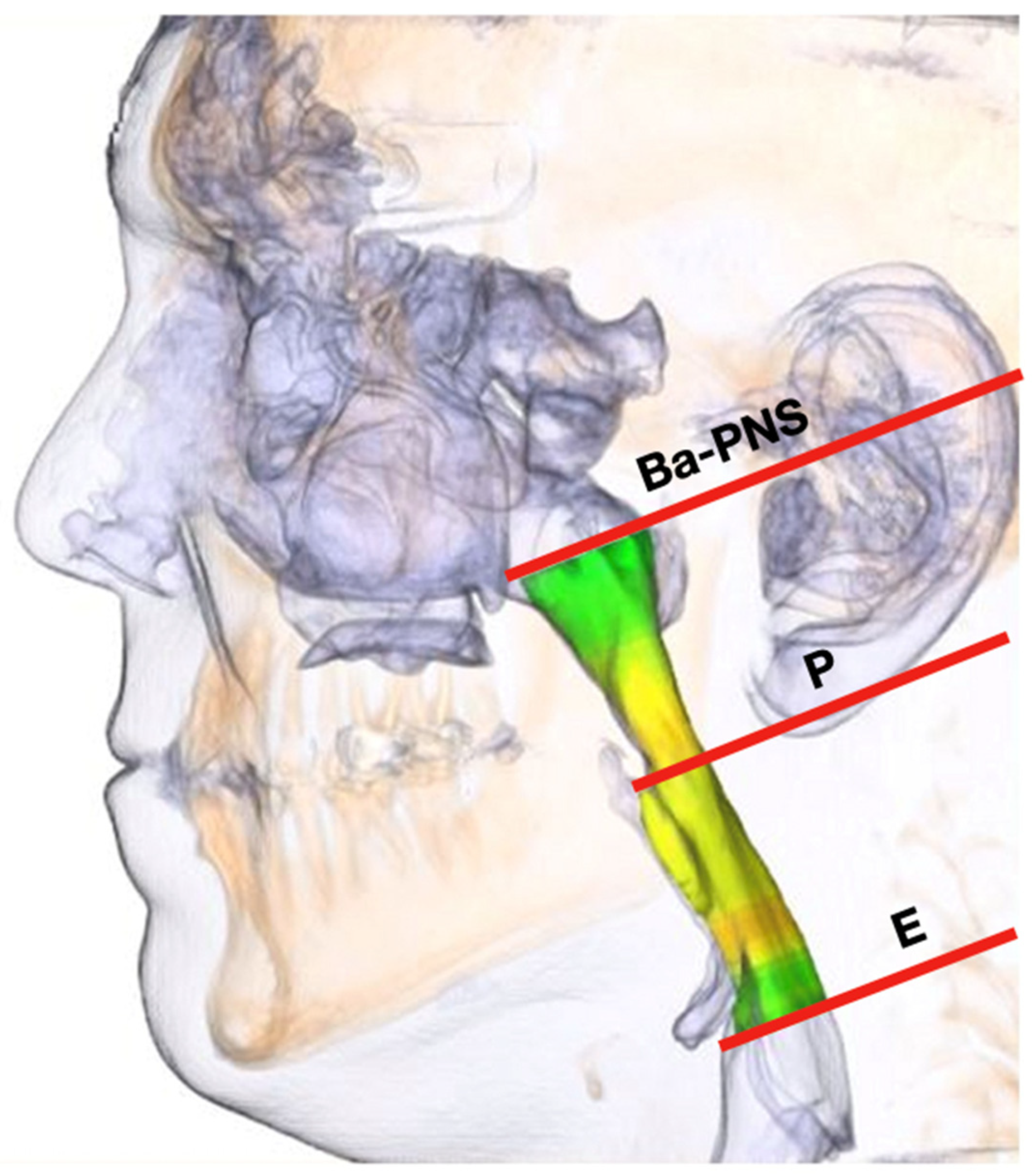 Preprints 78747 g002