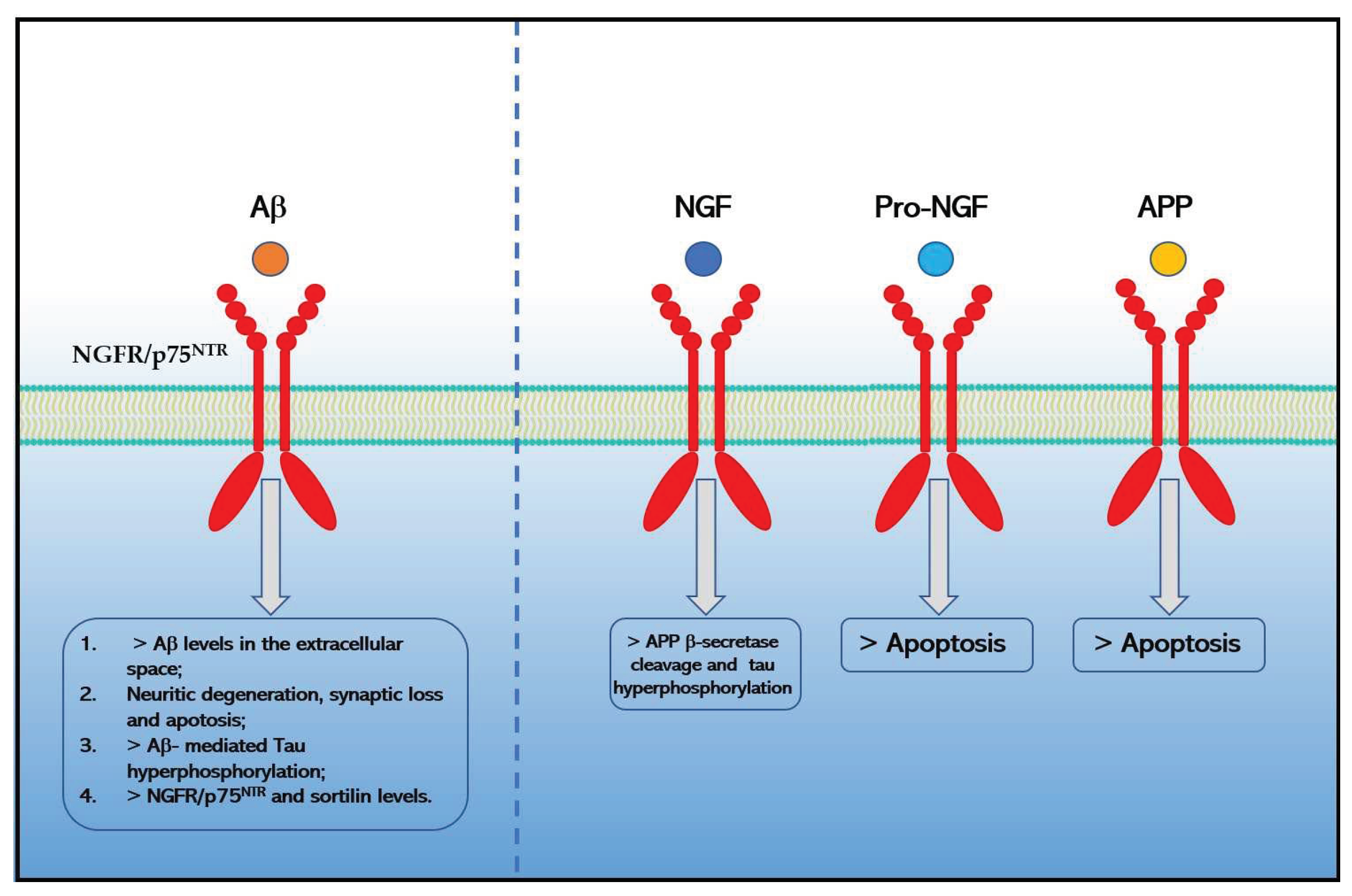 Preprints 67192 g002