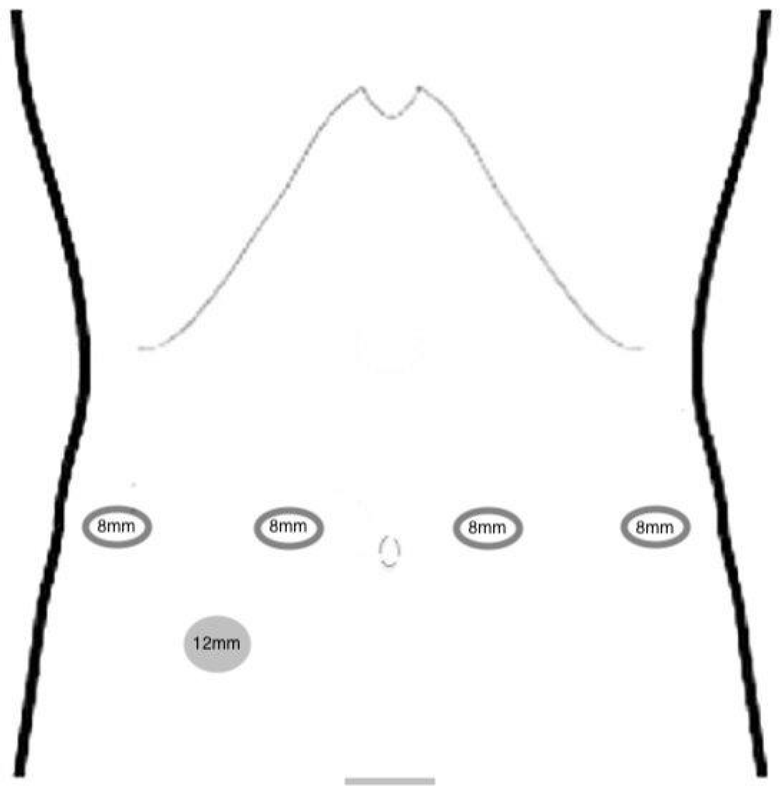 Preprints 151836 g001