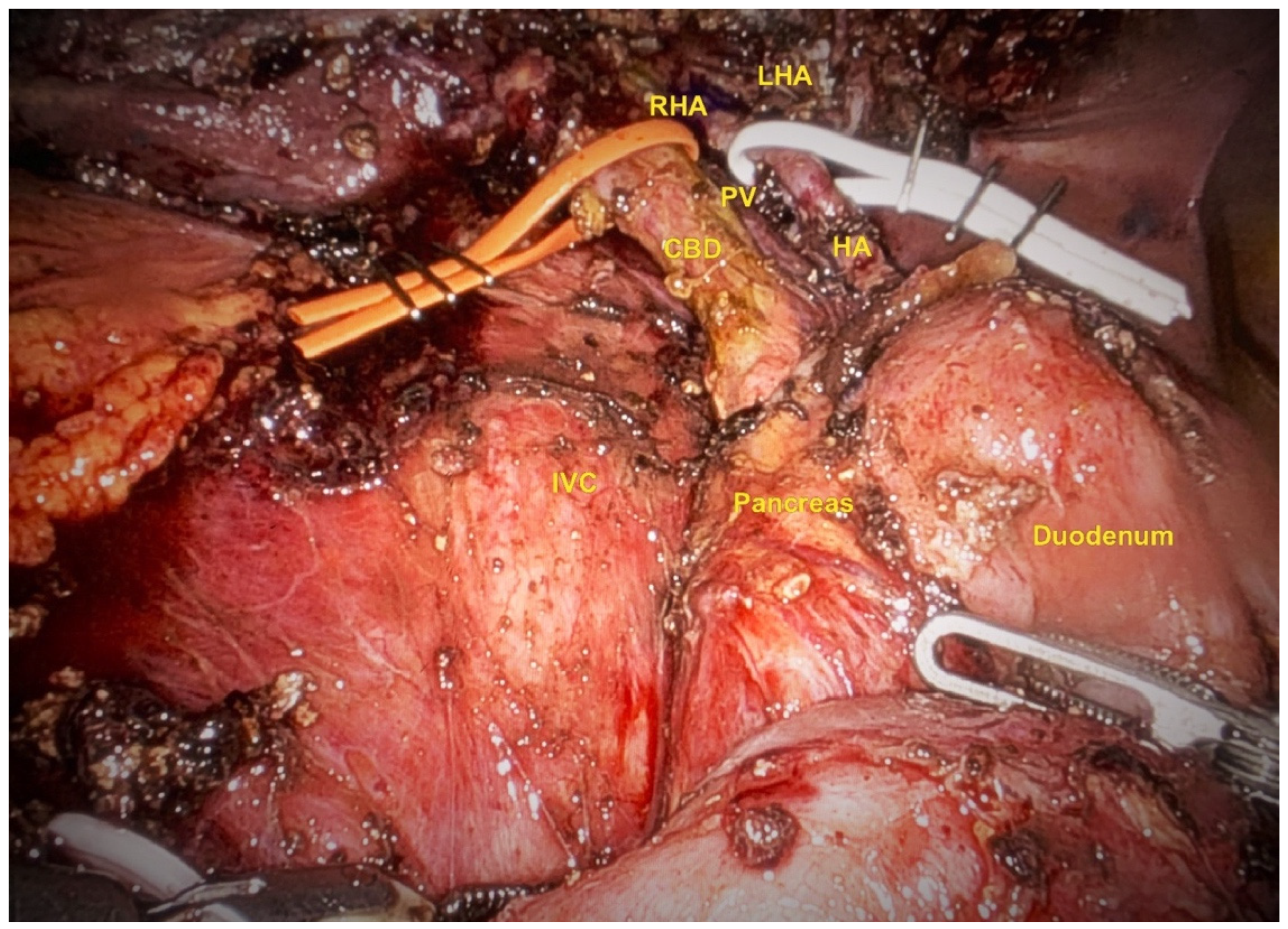 Preprints 151836 g002