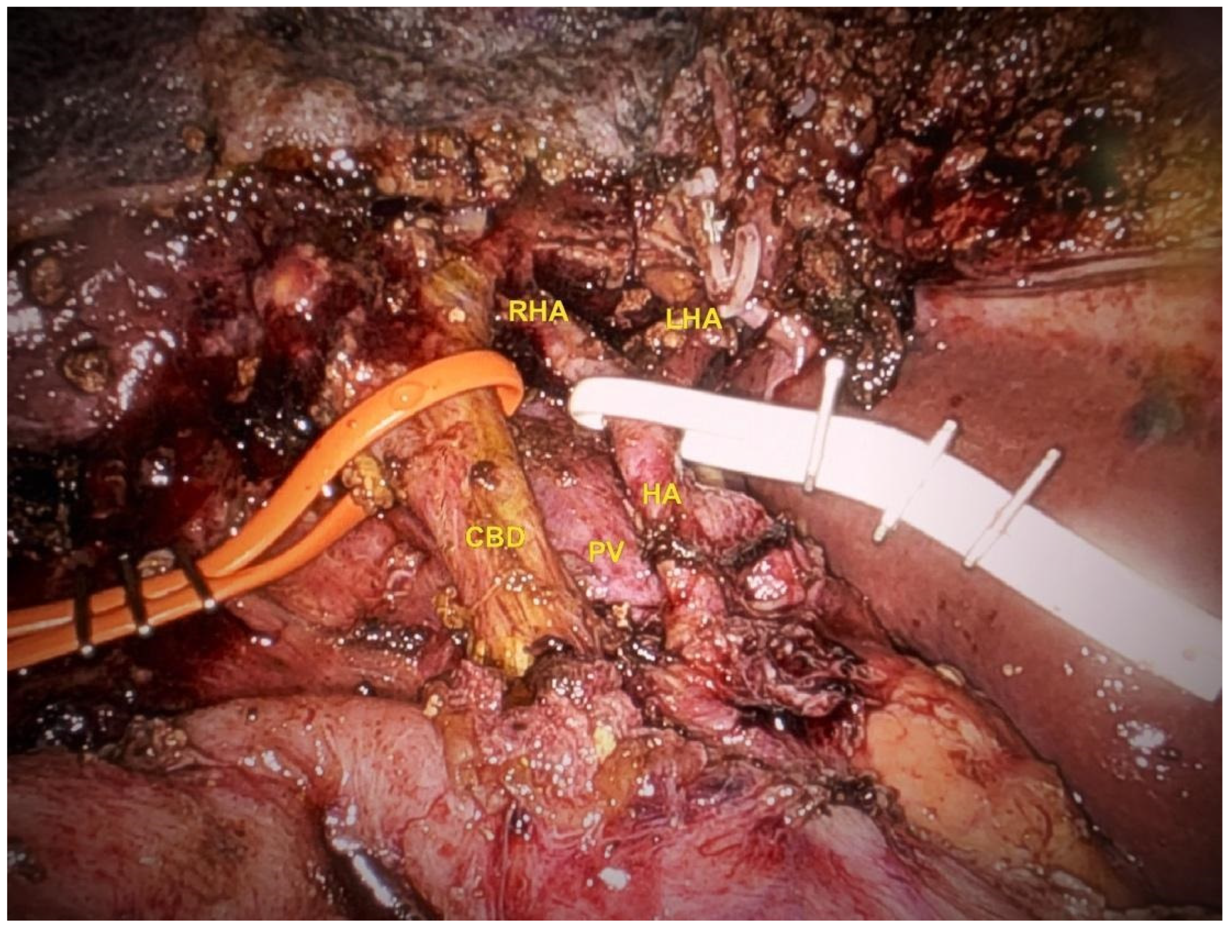 Preprints 151836 g003