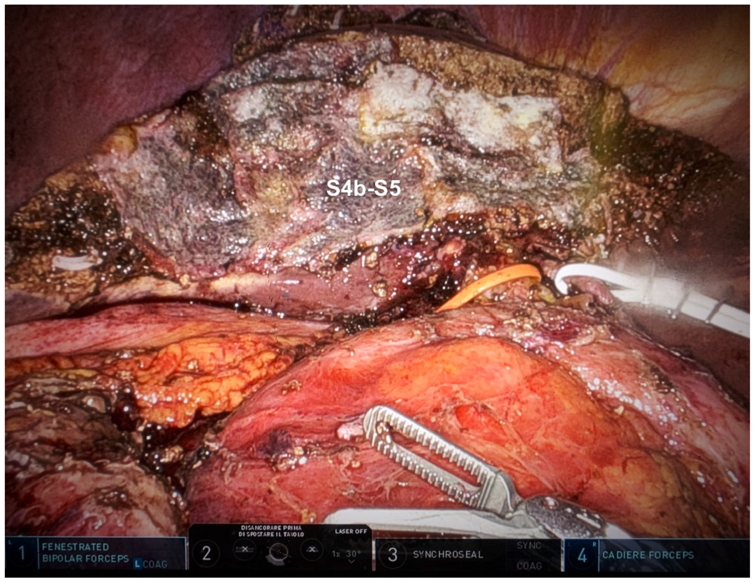 Preprints 151836 g004