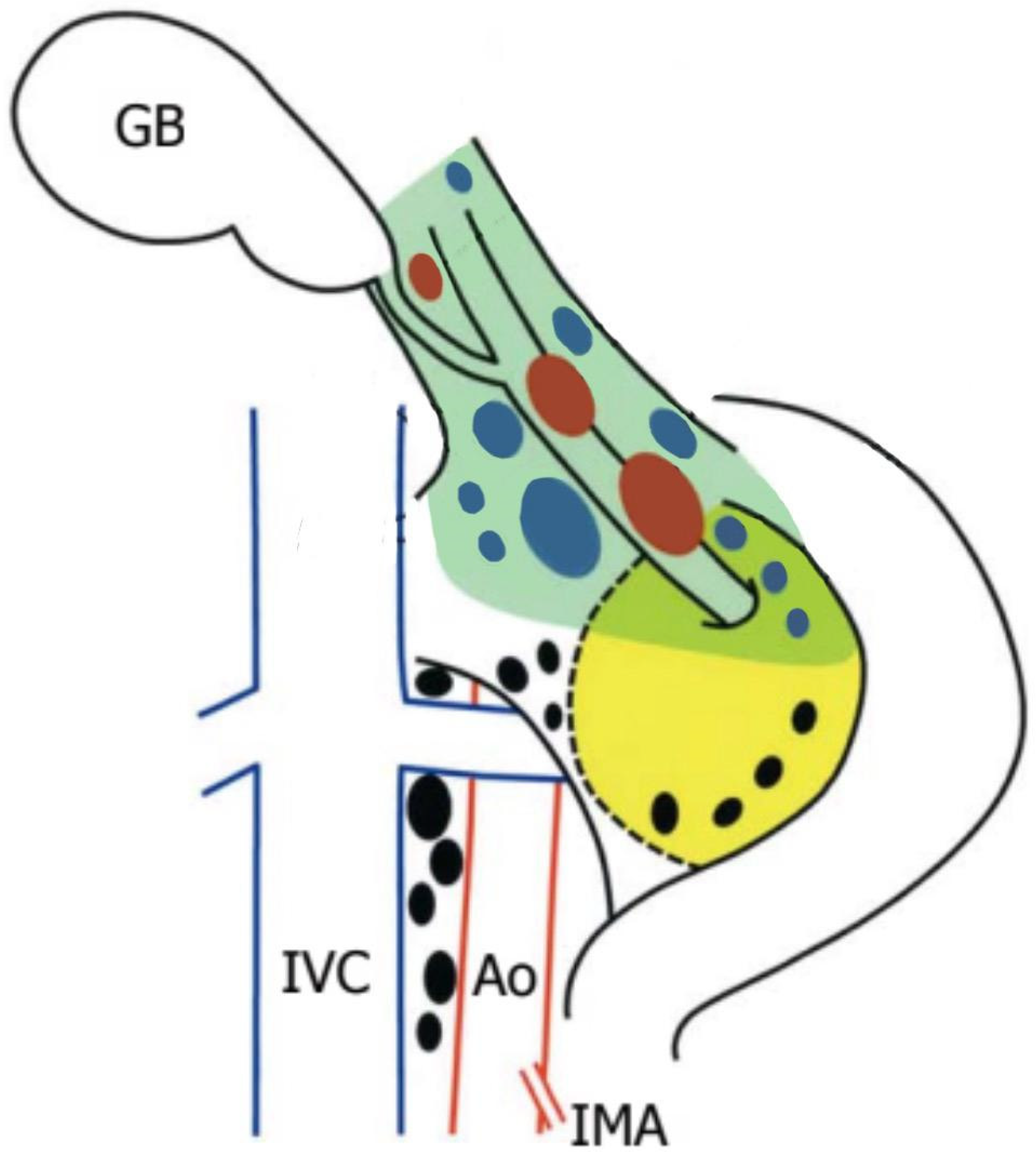Preprints 151836 g005